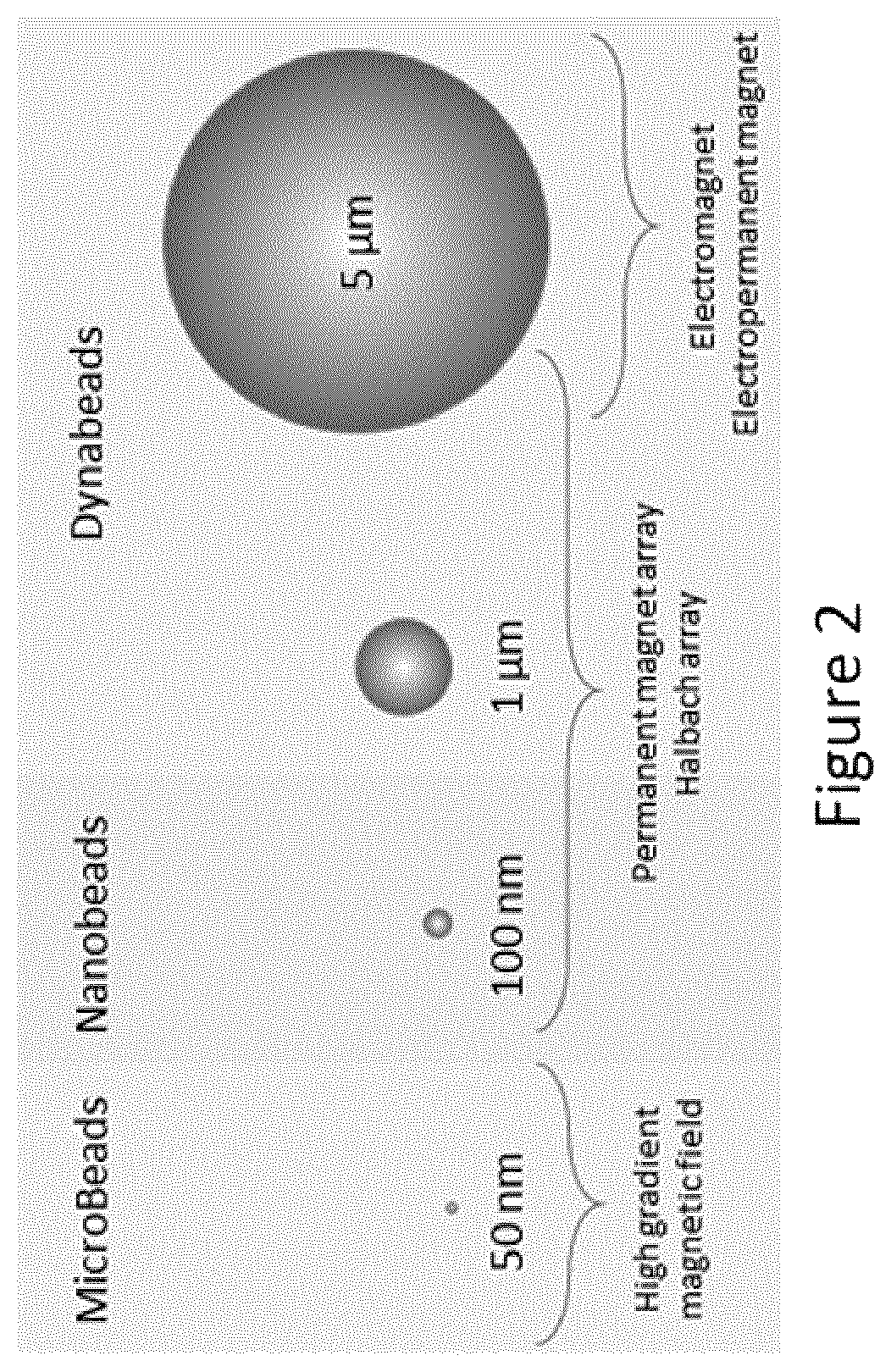 Patent US12460174 Figure 2 – Magnetic separation