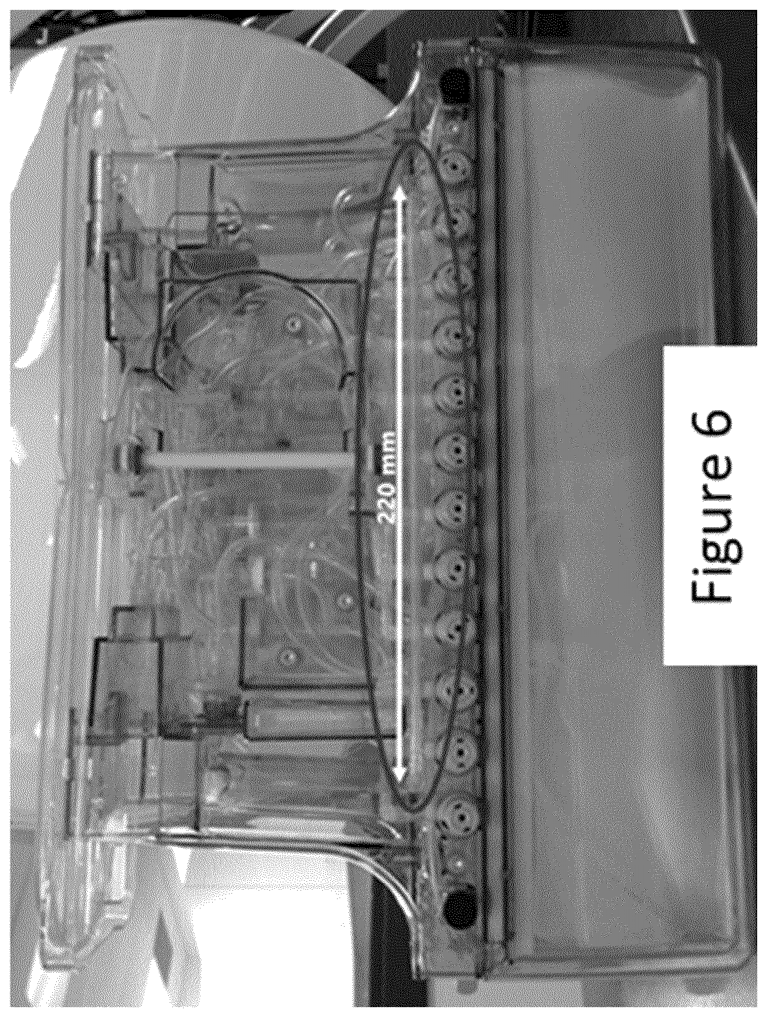 Patent US12460174 Figure 6 – Magnetic separation