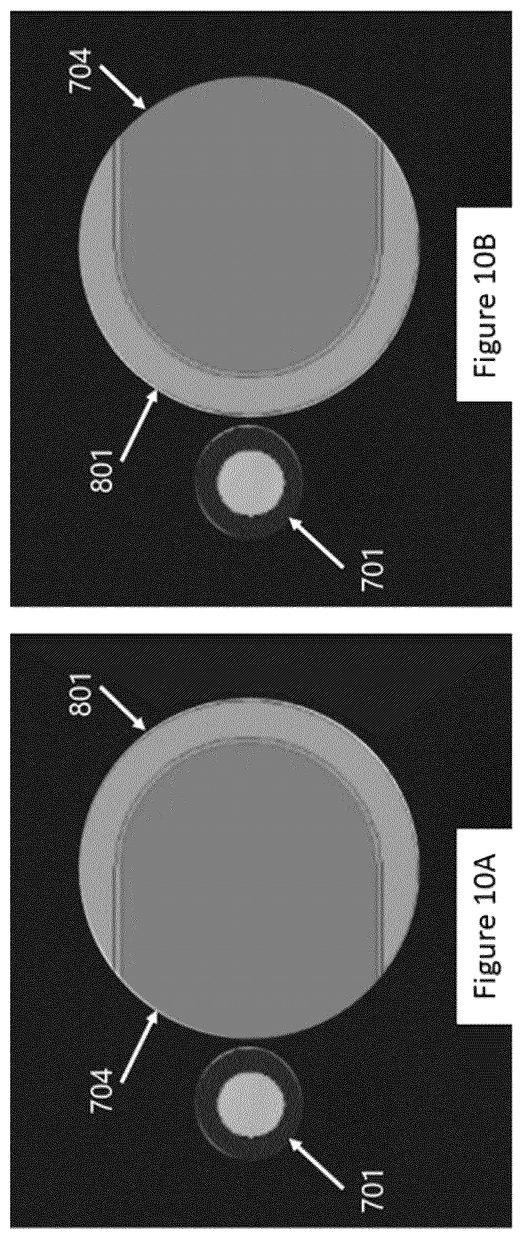 Patent US12460174 Figure 10 – Magnetic separation