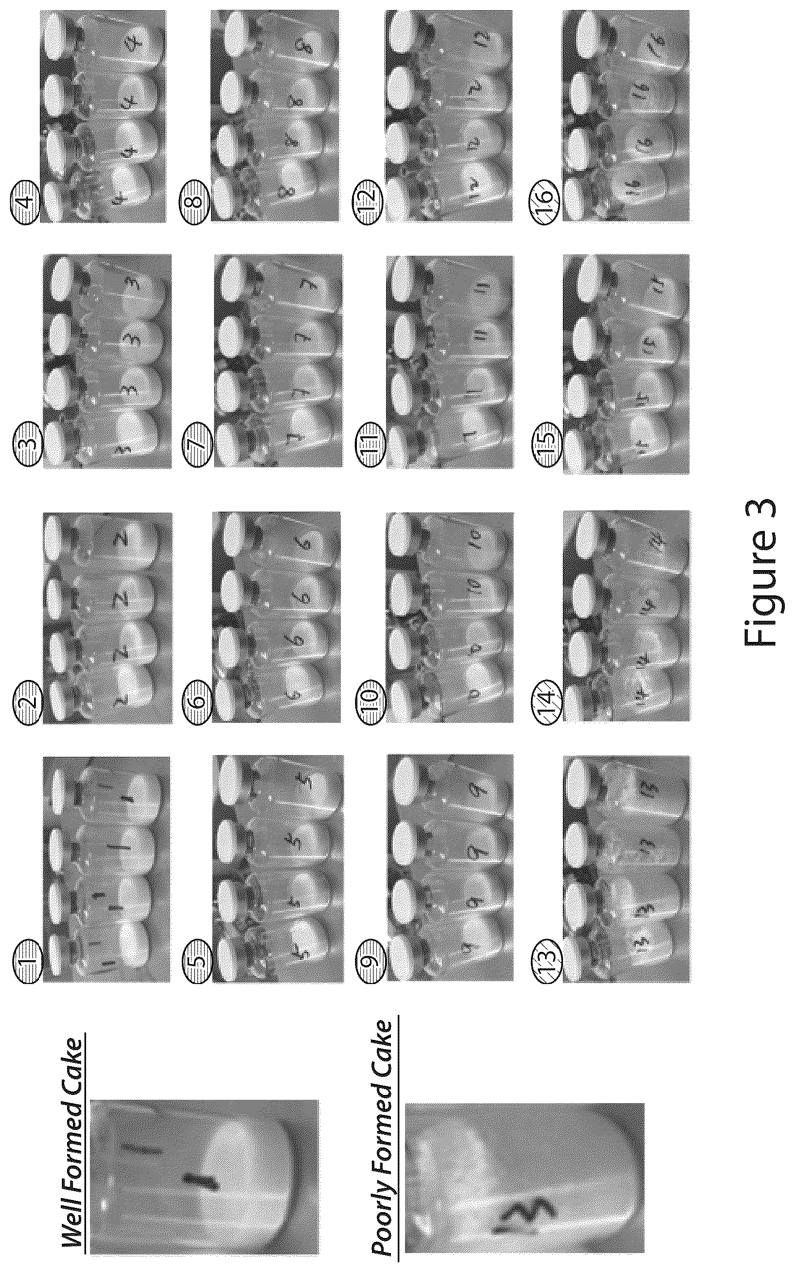 Patent US12460175 Figure 3 – Methods and compositions for preserving bacteria