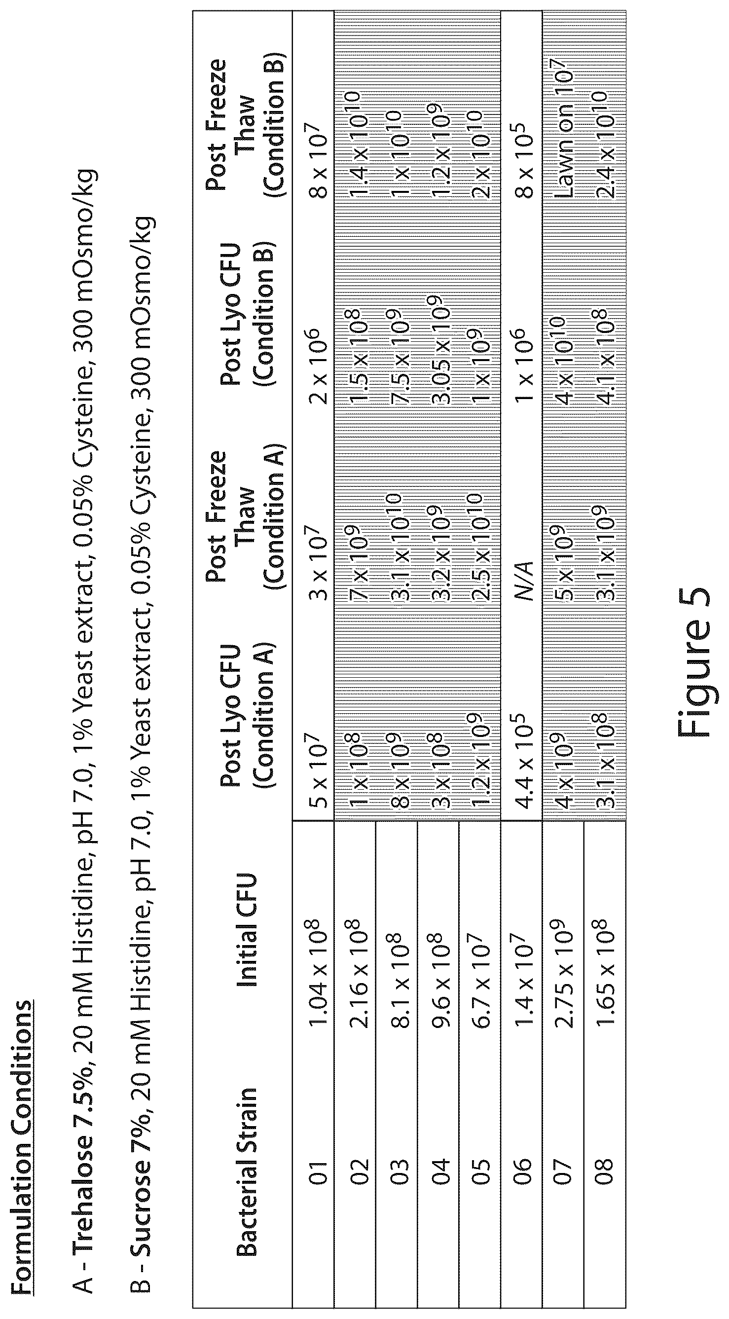 Patent US12460175 Figure 5 – Methods and compositions for preserving bacteria