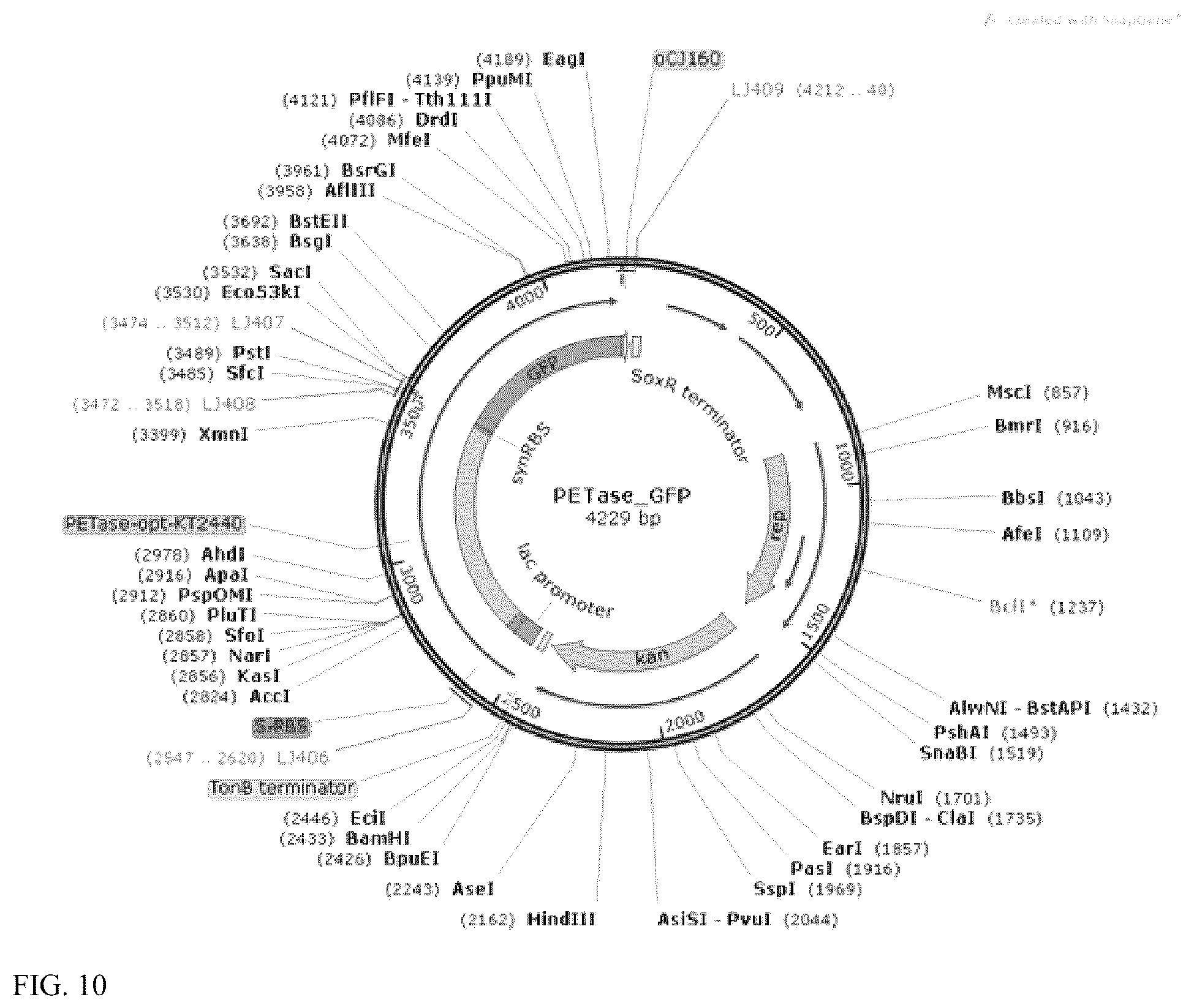 Patent US12460176 Figure 11 – Engineered microorganisms for the deconstruction of polymers