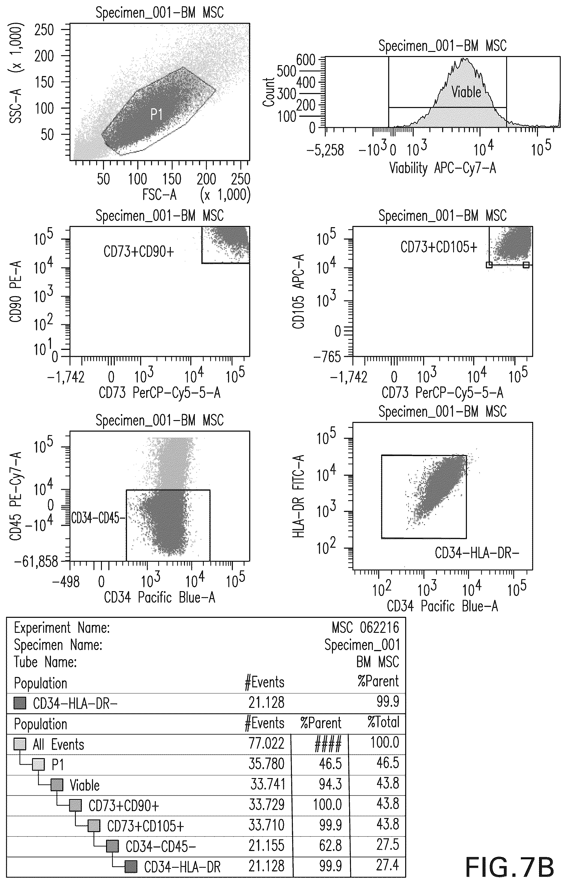 Patent US12460178 Figure 11 – Method of inducing or improving wound healing properties of mesenchymal stem cells