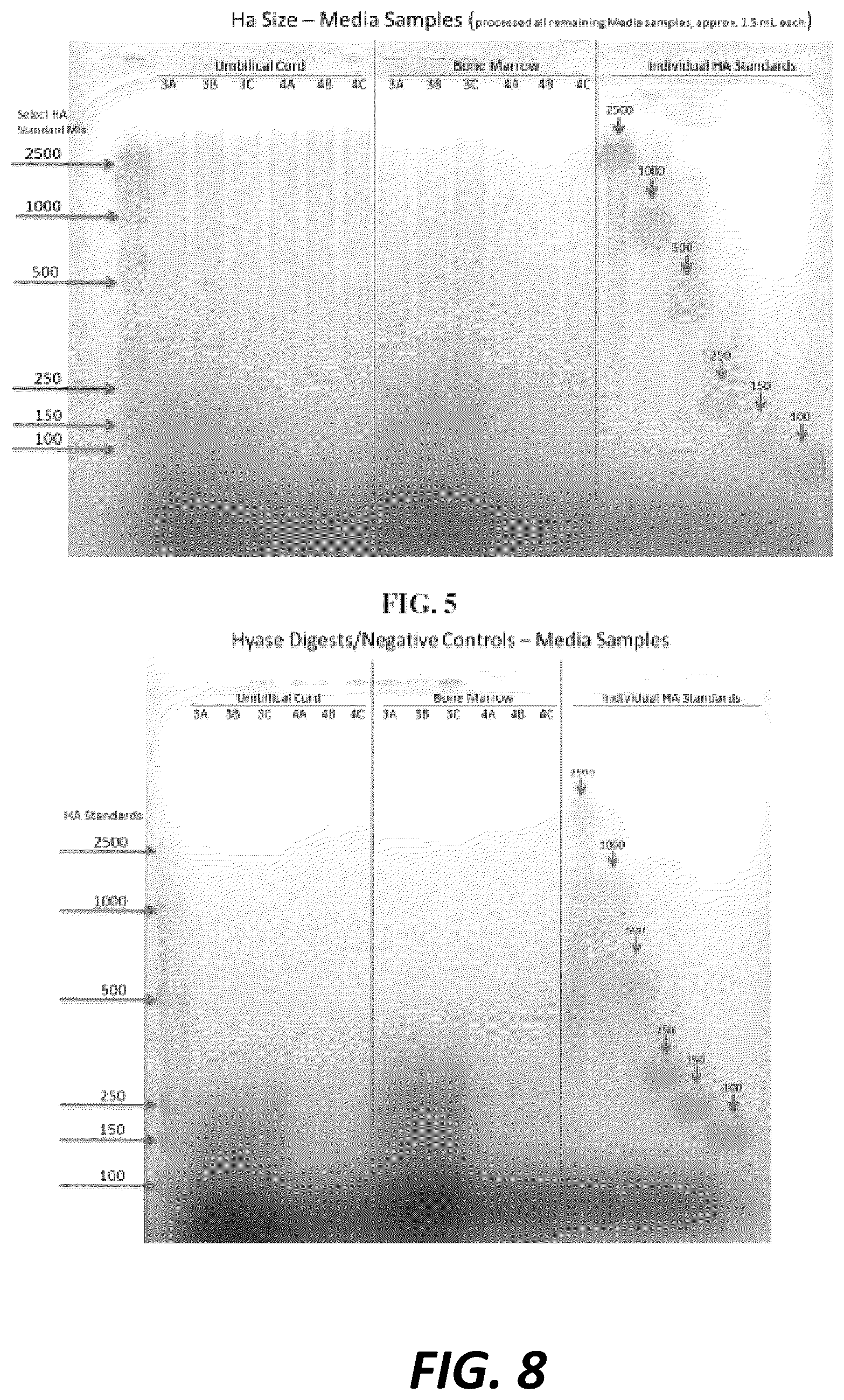 Patent US12460179 Figure 8 – Lyophilized compositions containing umbilical cord lining stem cells conditioned medium
