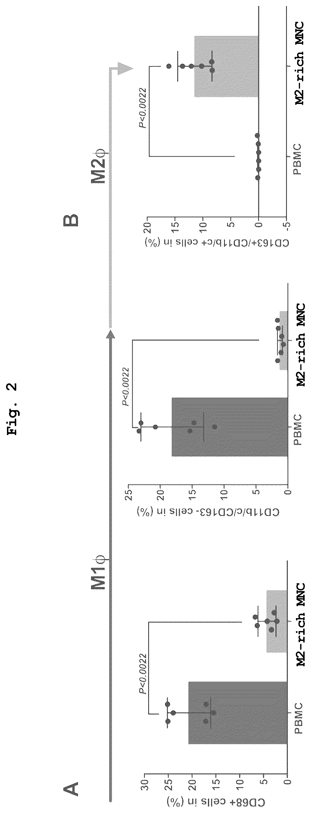 Patent US12460182 Figure 2 – Cell-containing pharmaceutical composition