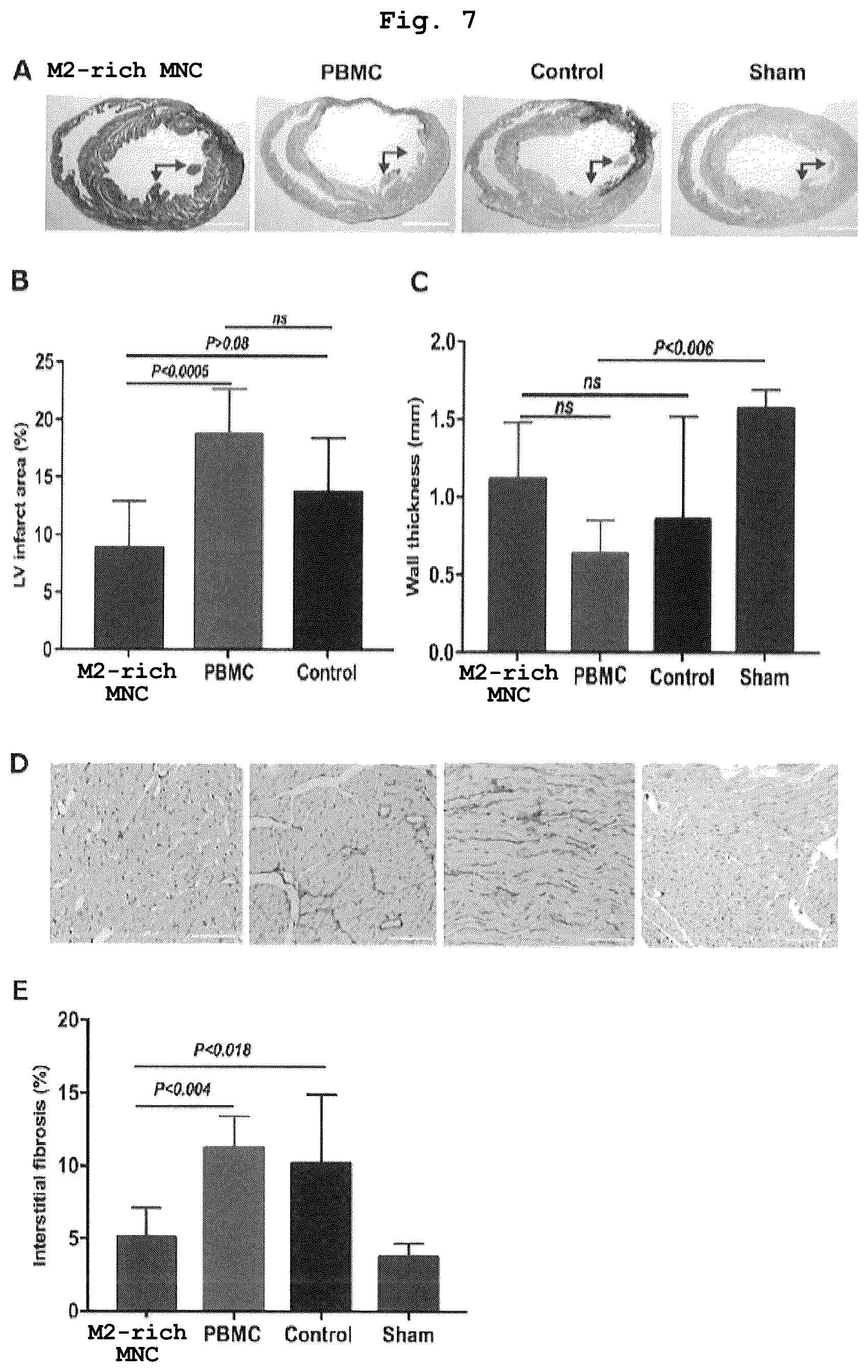 Patent US12460182 Figure 6 – Cell-containing pharmaceutical composition