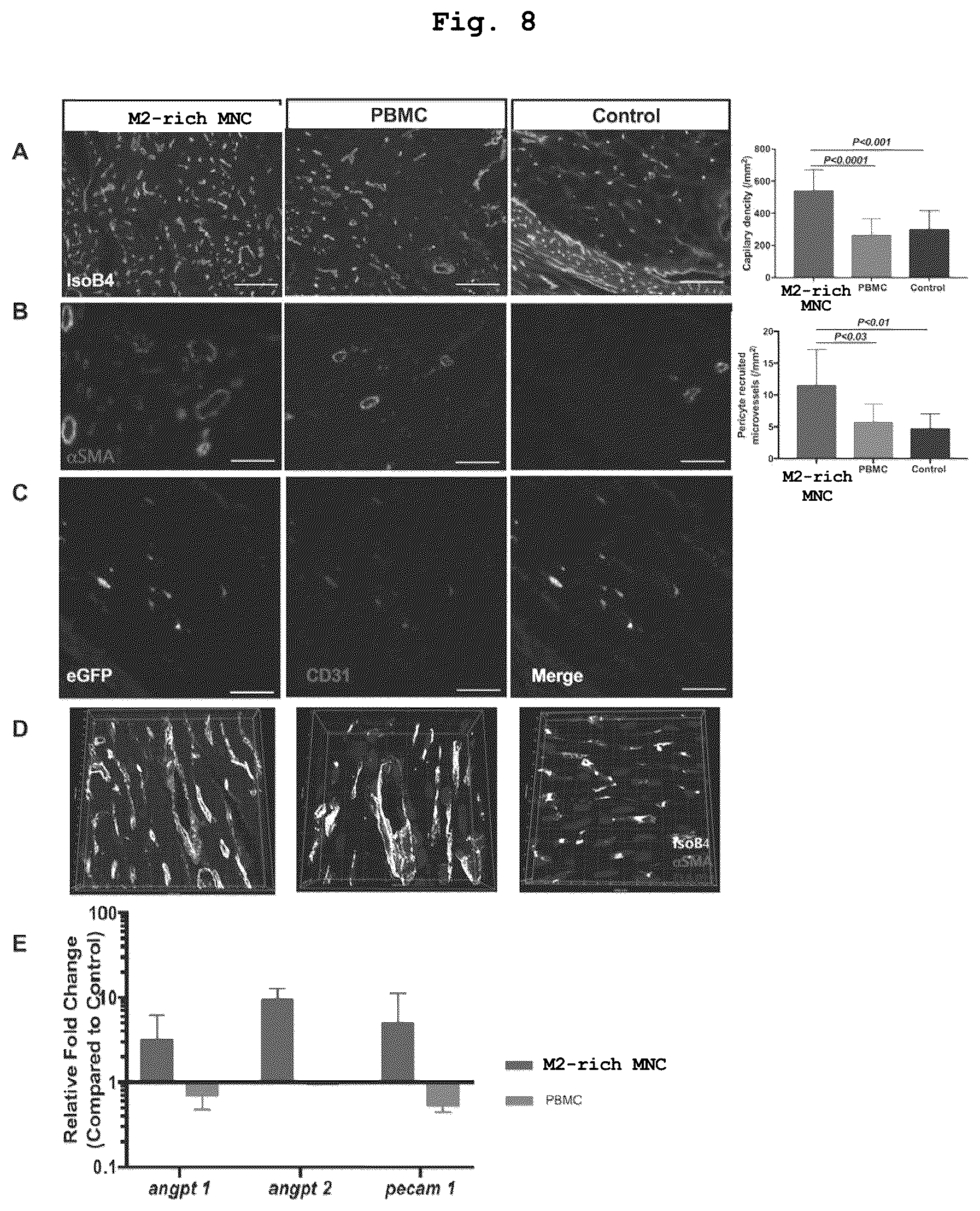 Patent US12460182 Figure 7 – Cell-containing pharmaceutical composition