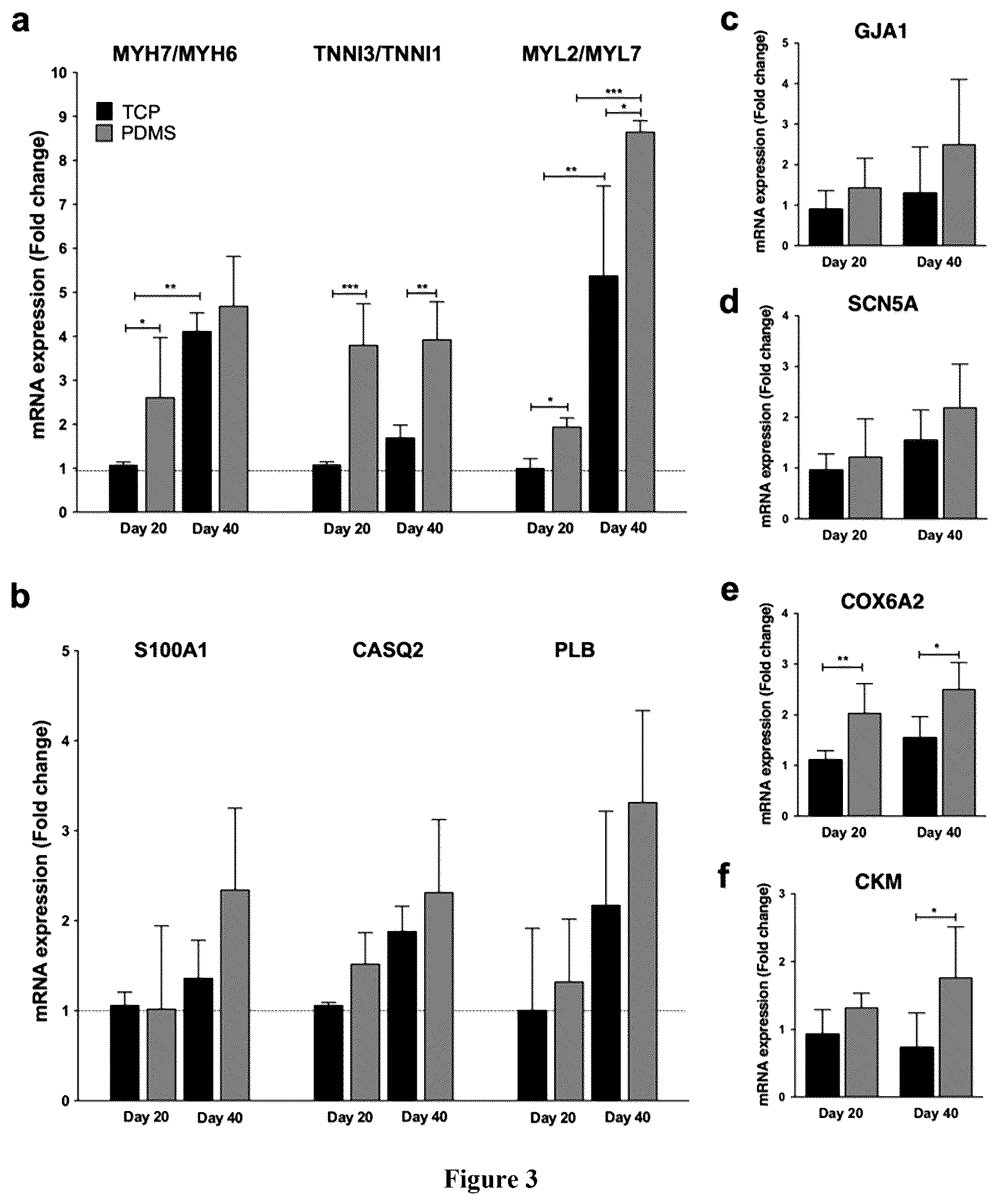Patent US12460183 Figure 3 – Mature cardiomyocyte compositions