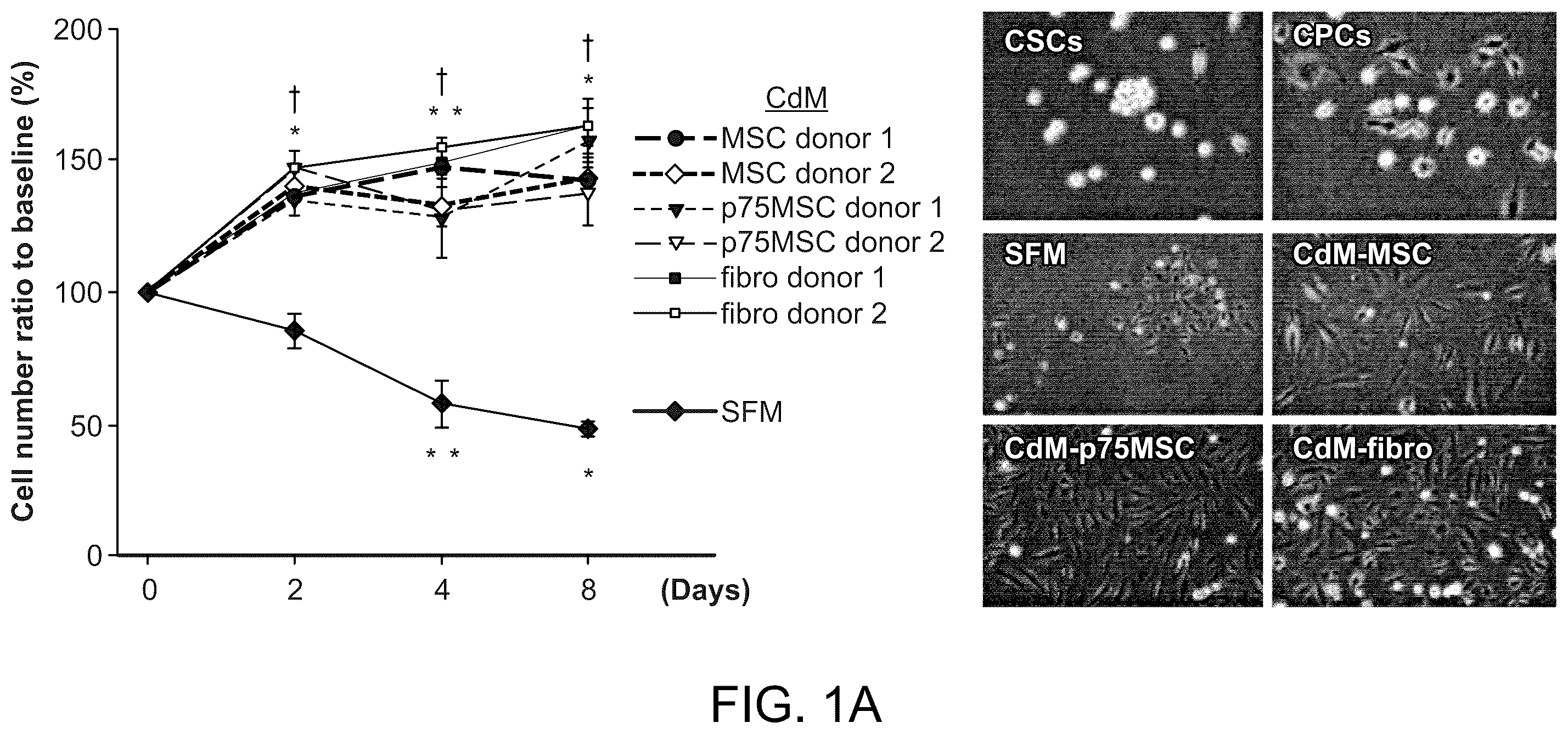 Patent US12460184 Figure 1 – Cell primed with CTGF-D4 and insulin or IGF-1 and use in methods for cardiac tissue repair