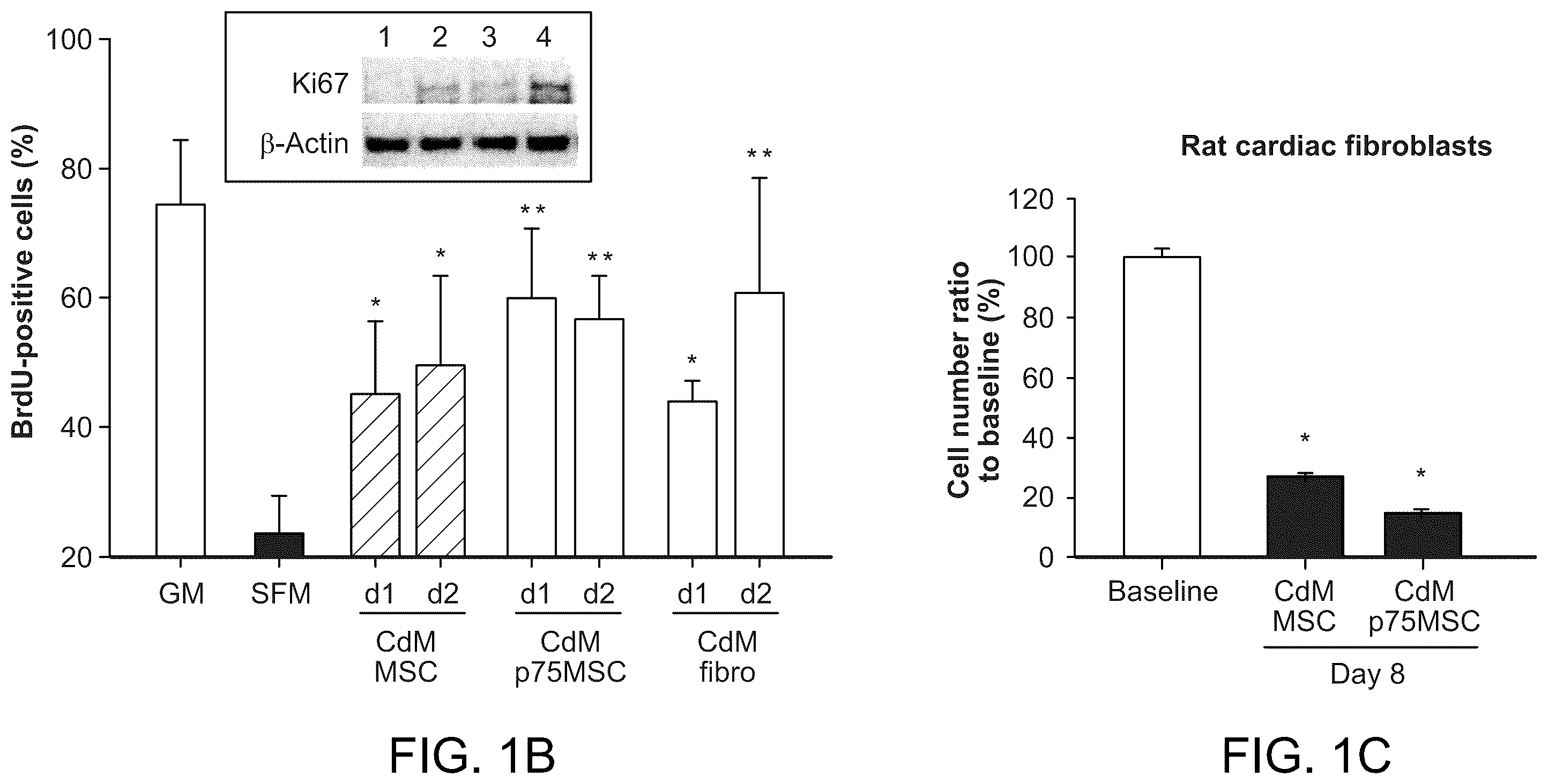Patent US12460184 Figure 2 – Cell primed with CTGF-D4 and insulin or IGF-1 and use in methods for cardiac tissue repair