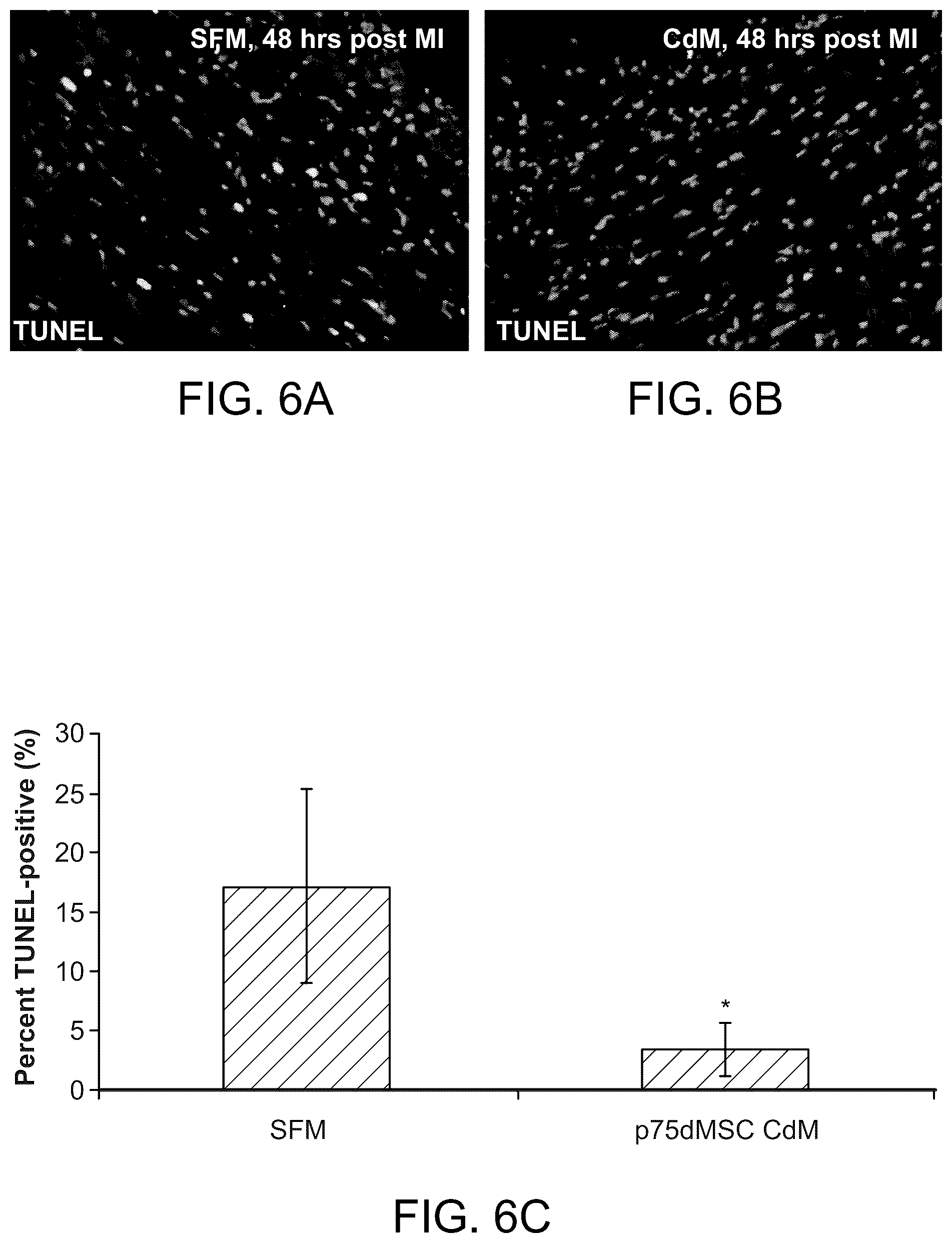 Patent US12460184 Figure 9 – Cell primed with CTGF-D4 and insulin or IGF-1 and use in methods for cardiac tissue repair