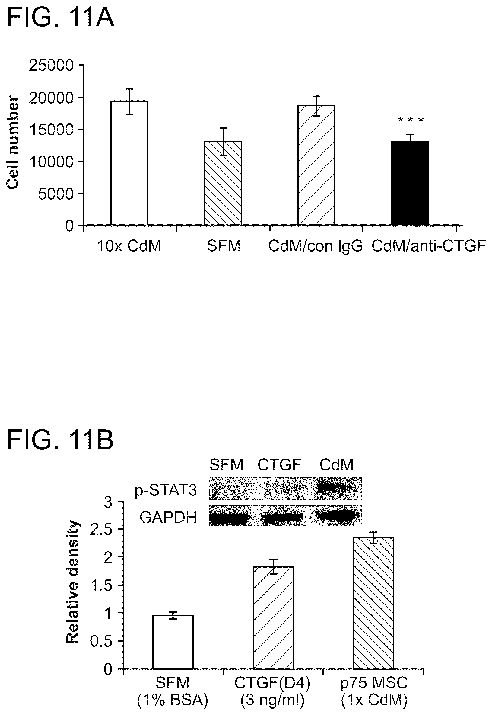 Patent US12460184 Figure 16 – Cell primed with CTGF-D4 and insulin or IGF-1 and use in methods for cardiac tissue repair