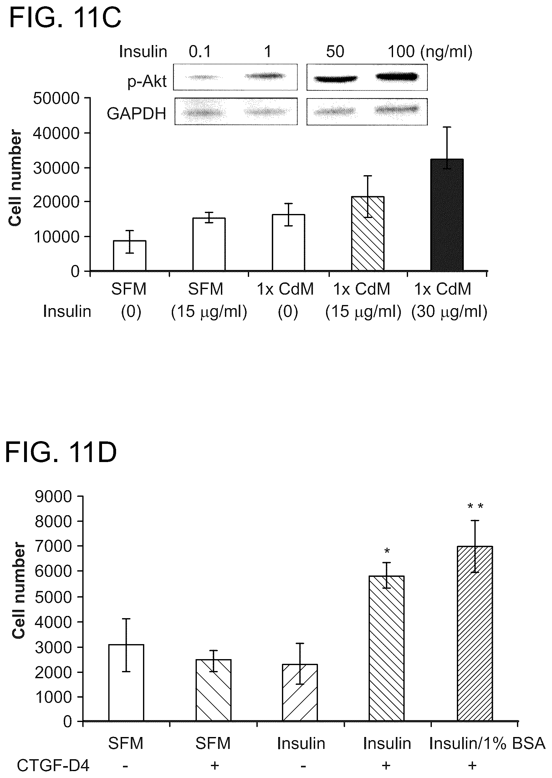 Patent US12460184 Figure 17 – Cell primed with CTGF-D4 and insulin or IGF-1 and use in methods for cardiac tissue repair