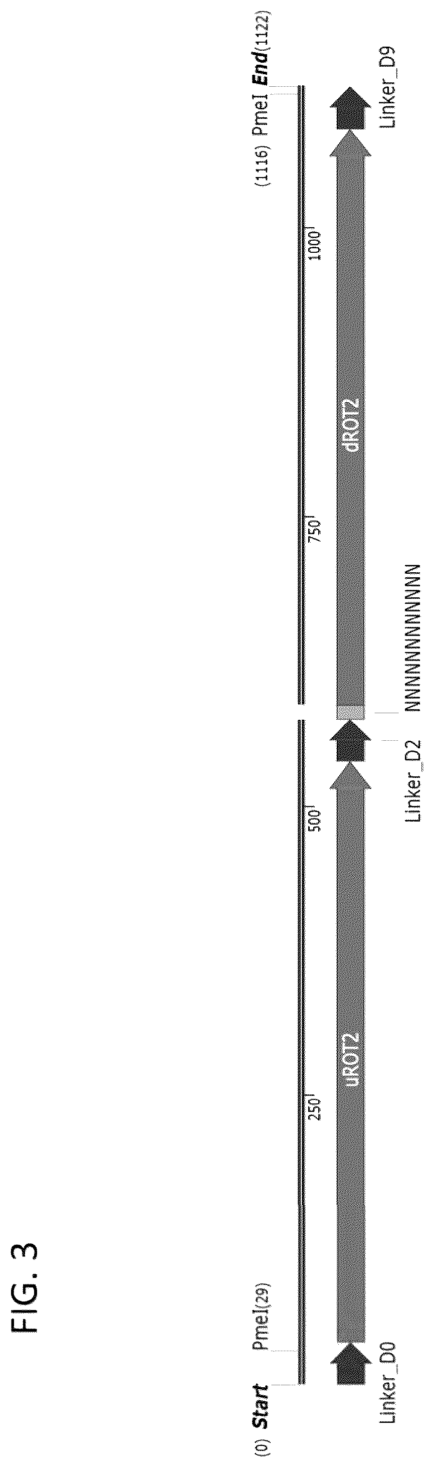 Patent US12460185 Figure 5 – Optimized cannabinoid synthase polypeptides
