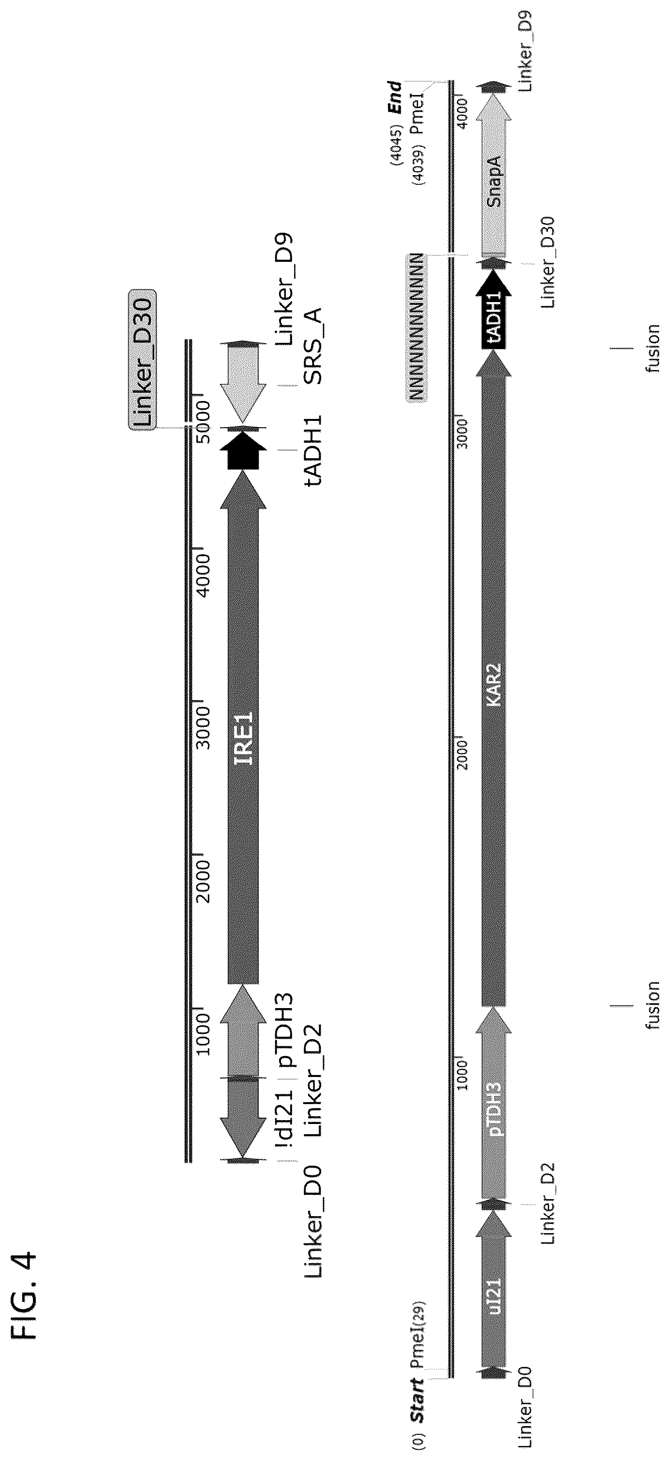 Patent US12460185 Figure 6 – Optimized cannabinoid synthase polypeptides