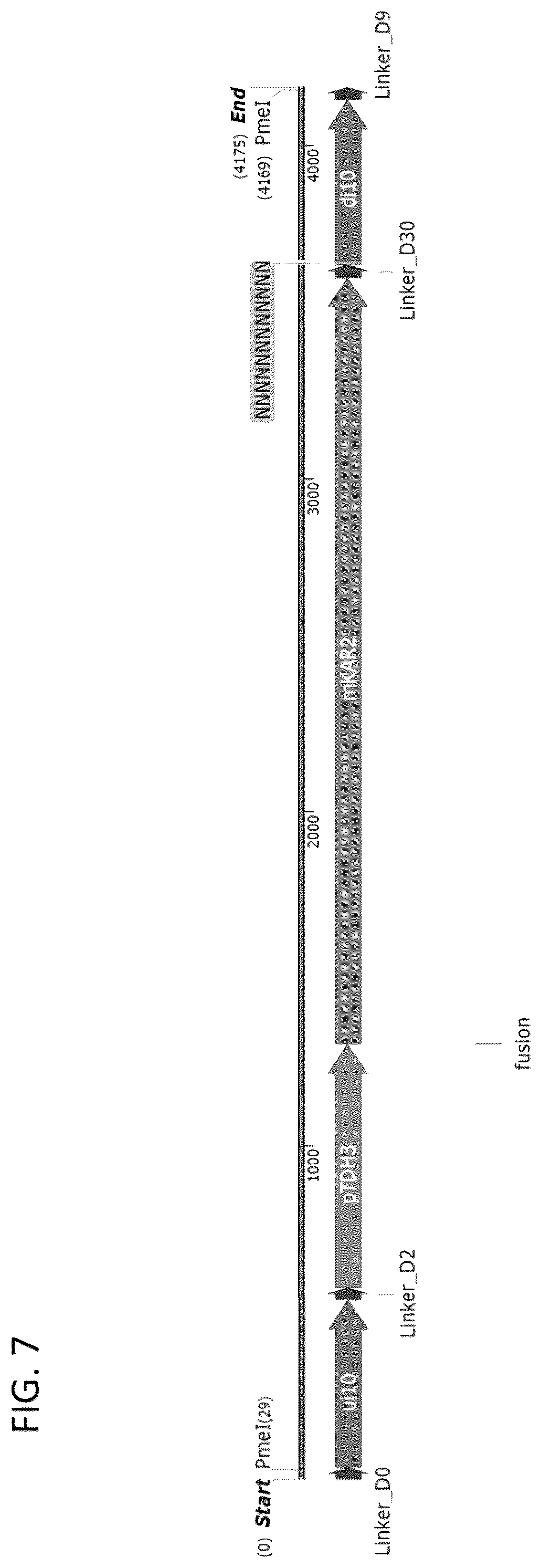 Patent US12460185 Figure 9 – Optimized cannabinoid synthase polypeptides