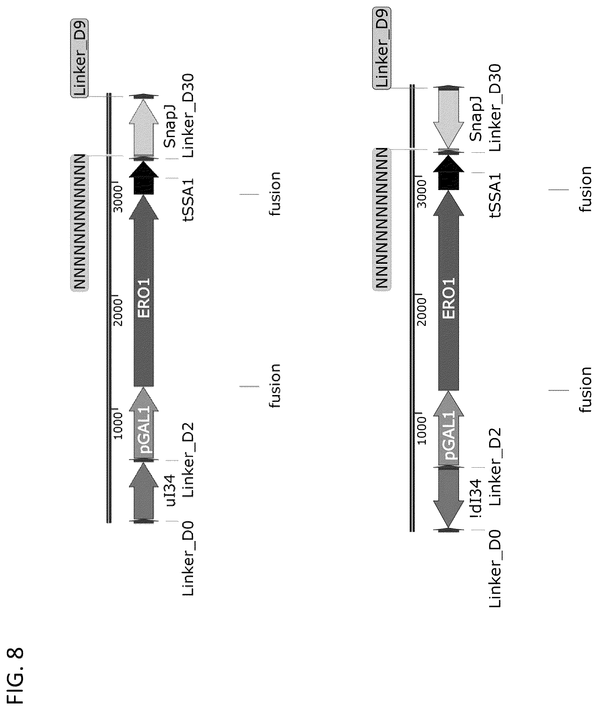 Patent US12460185 Figure 10 – Optimized cannabinoid synthase polypeptides