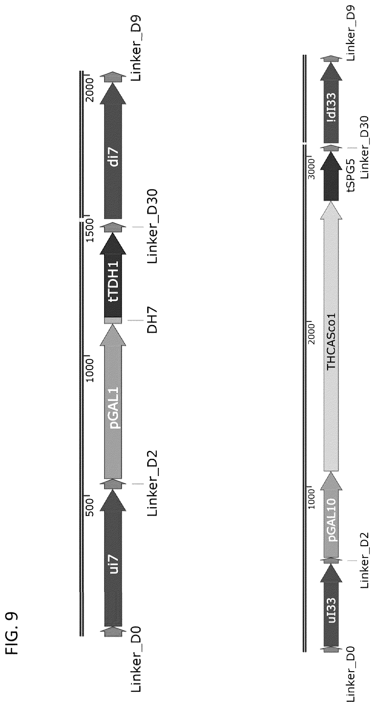 Patent US12460185 Figure 11 – Optimized cannabinoid synthase polypeptides