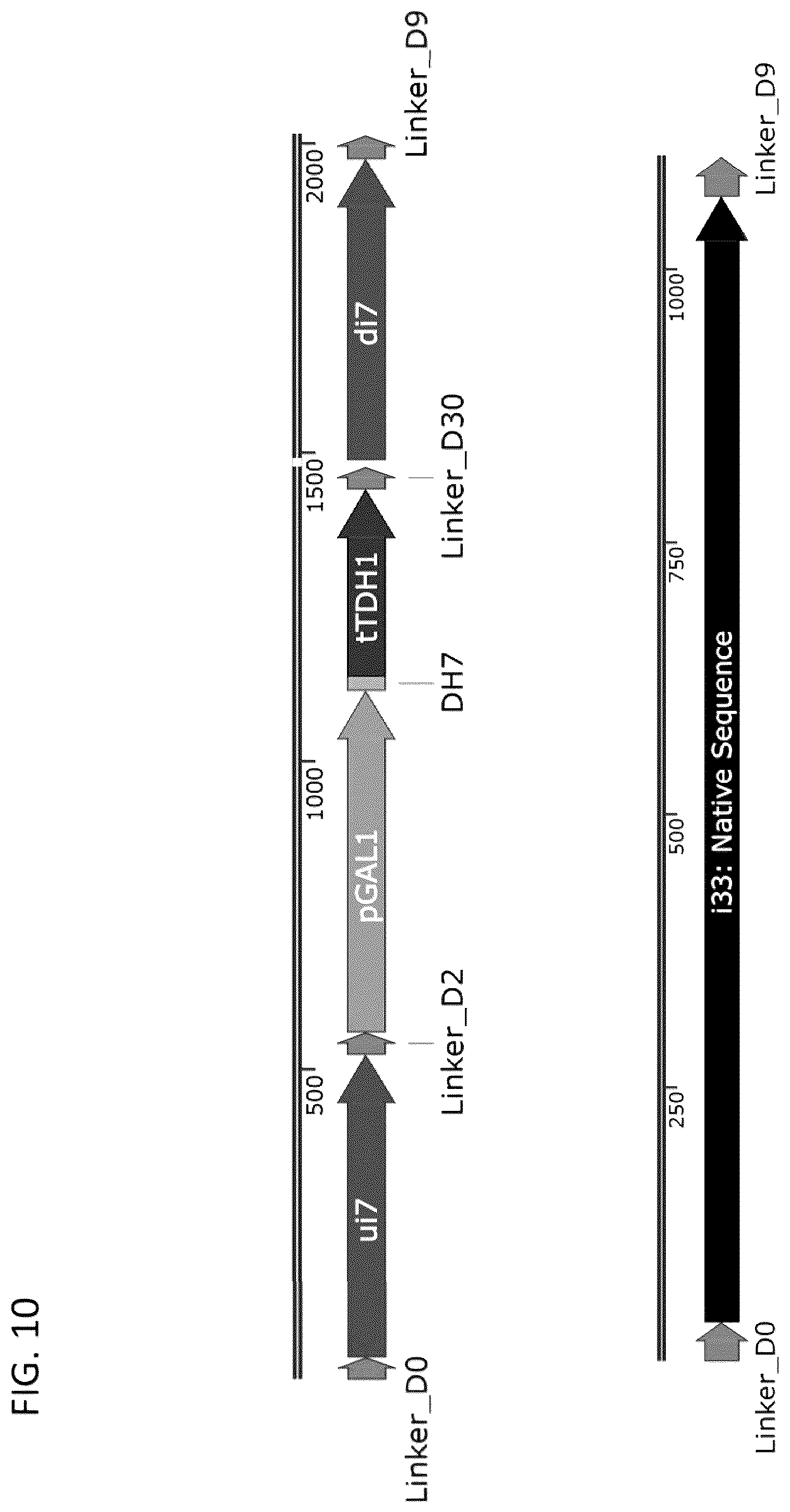 Patent US12460185 Figure 12 – Optimized cannabinoid synthase polypeptides