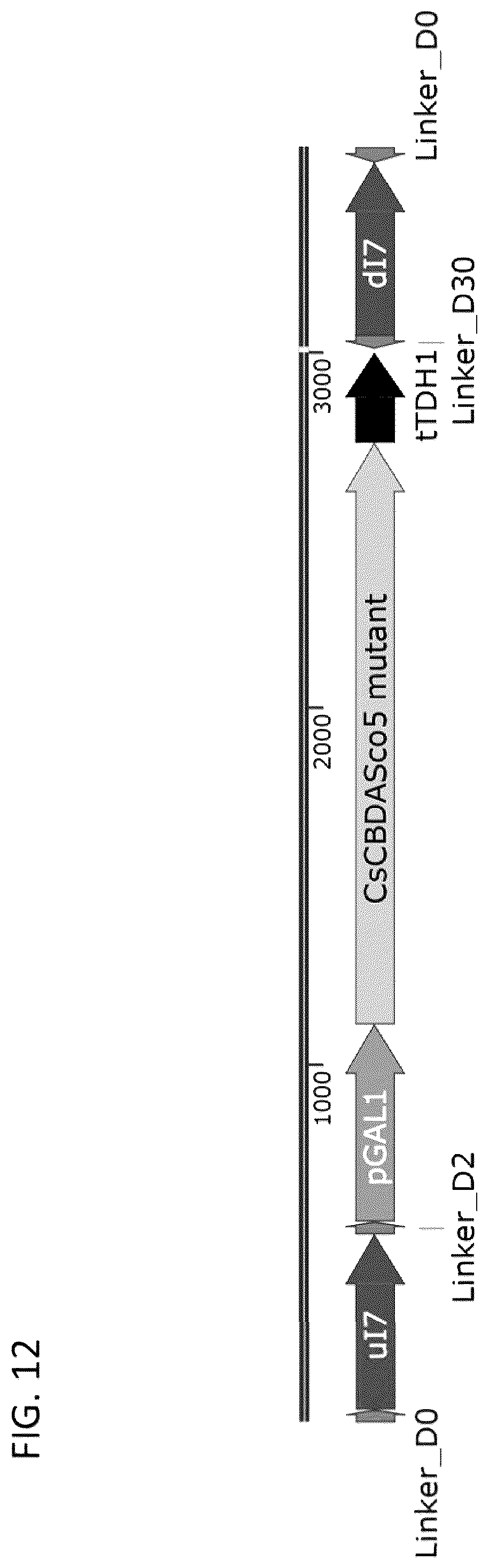 Patent US12460185 Figure 14 – Optimized cannabinoid synthase polypeptides