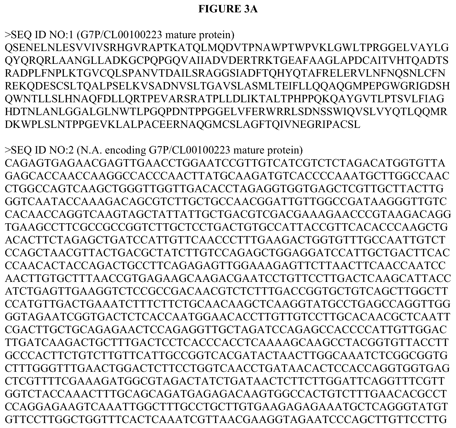 Patent US12460186 Figure 5 – Second additional phytase variants and methods