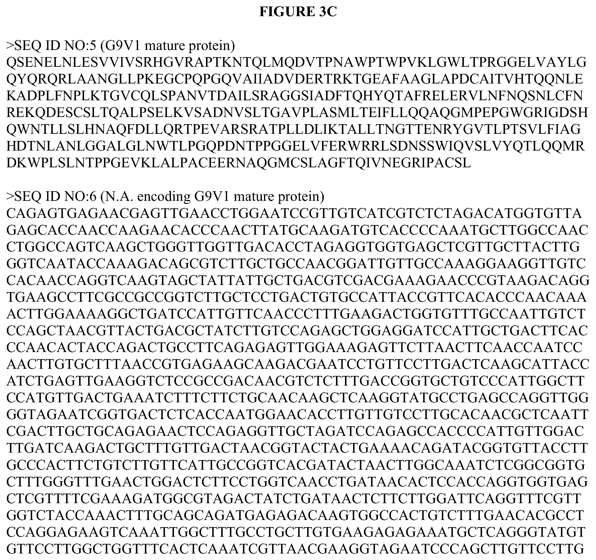 Patent US12460186 Figure 7 – Second additional phytase variants and methods