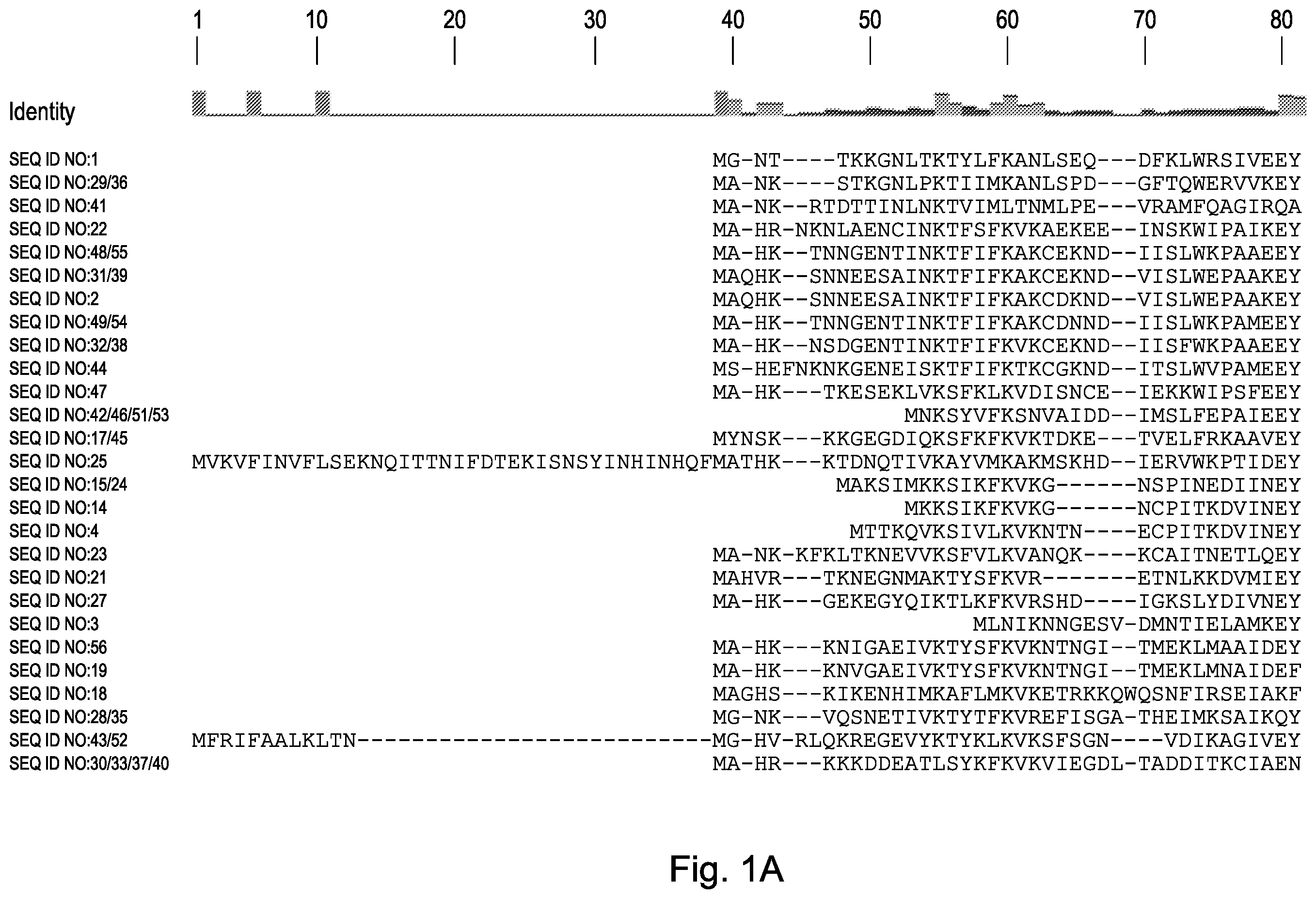 Patent US12460190 — CRISPR DNA targeting enzymes and systems — Figure 1