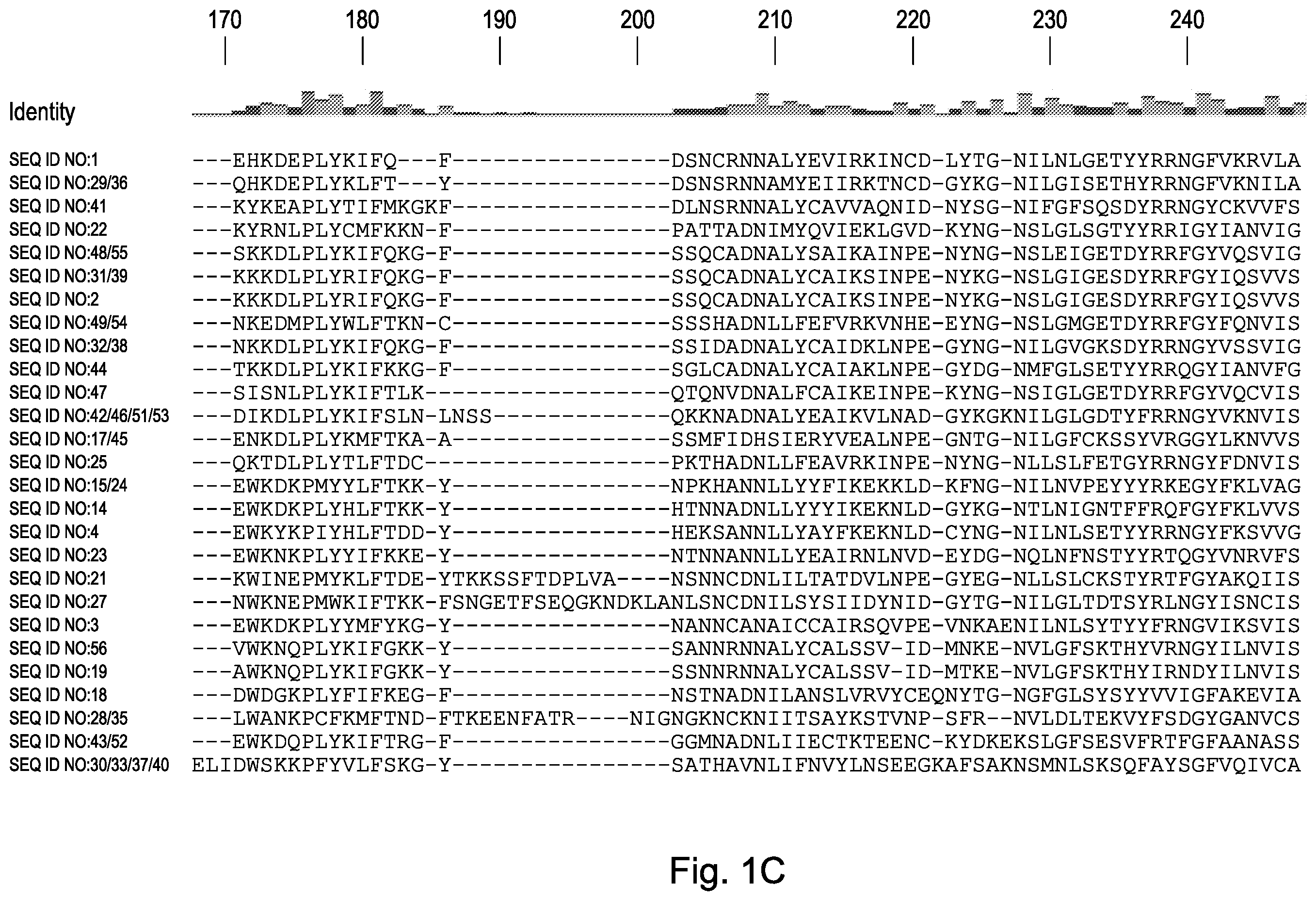 Patent US12460190 Figure 3 – CRISPR DNA targeting enzymes and systems