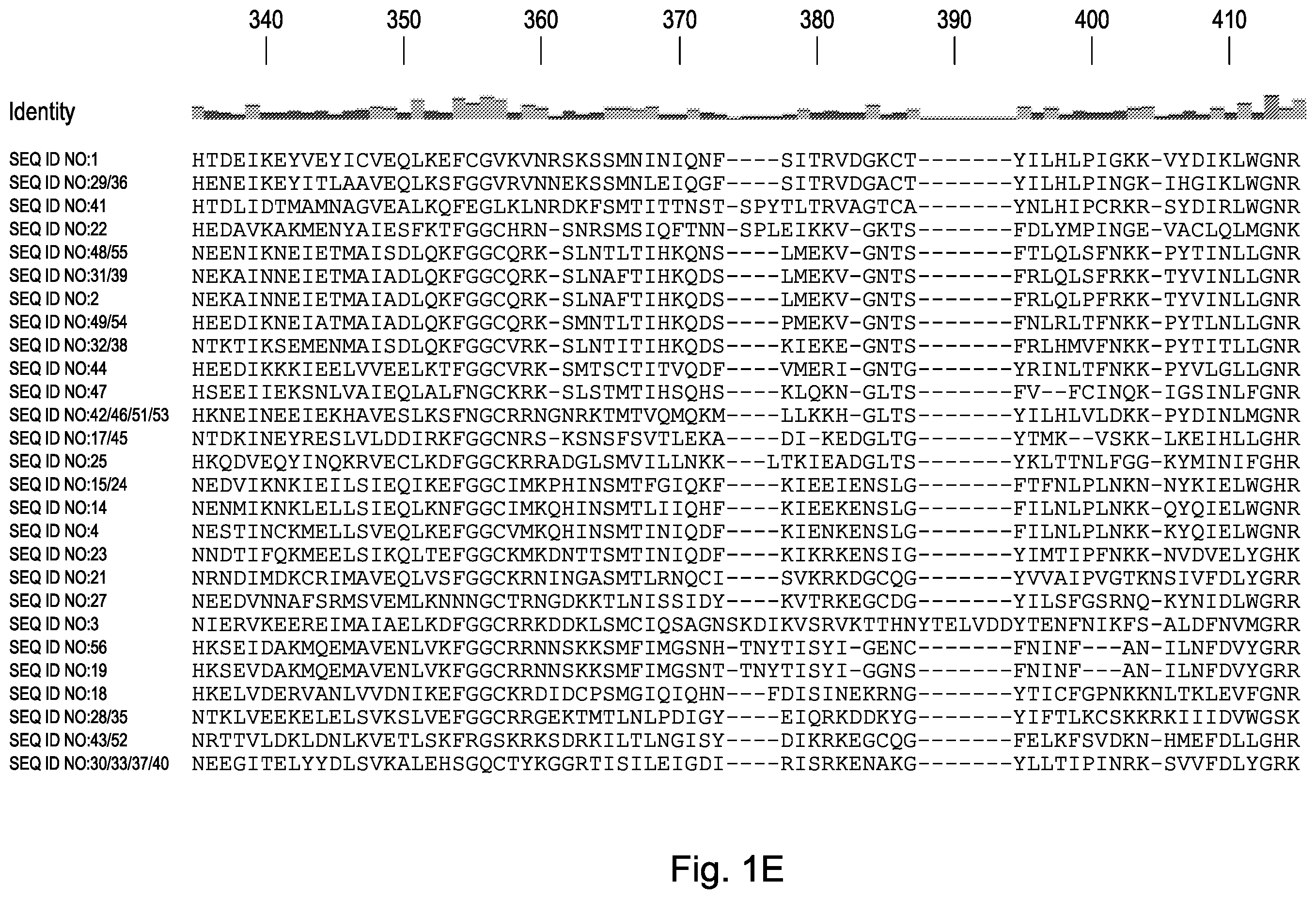 Patent US12460190 Figure 5 – CRISPR DNA targeting enzymes and systems