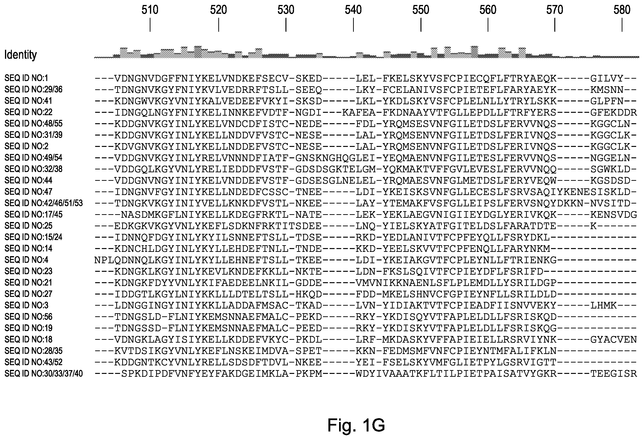 Patent US12460190 Figure 7 – CRISPR DNA targeting enzymes and systems