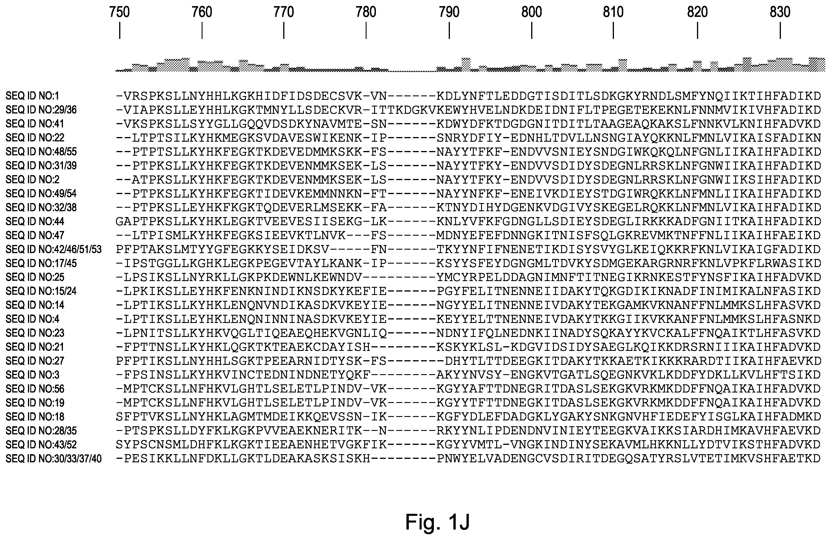 Patent US12460190 Figure 10 – CRISPR DNA targeting enzymes and systems