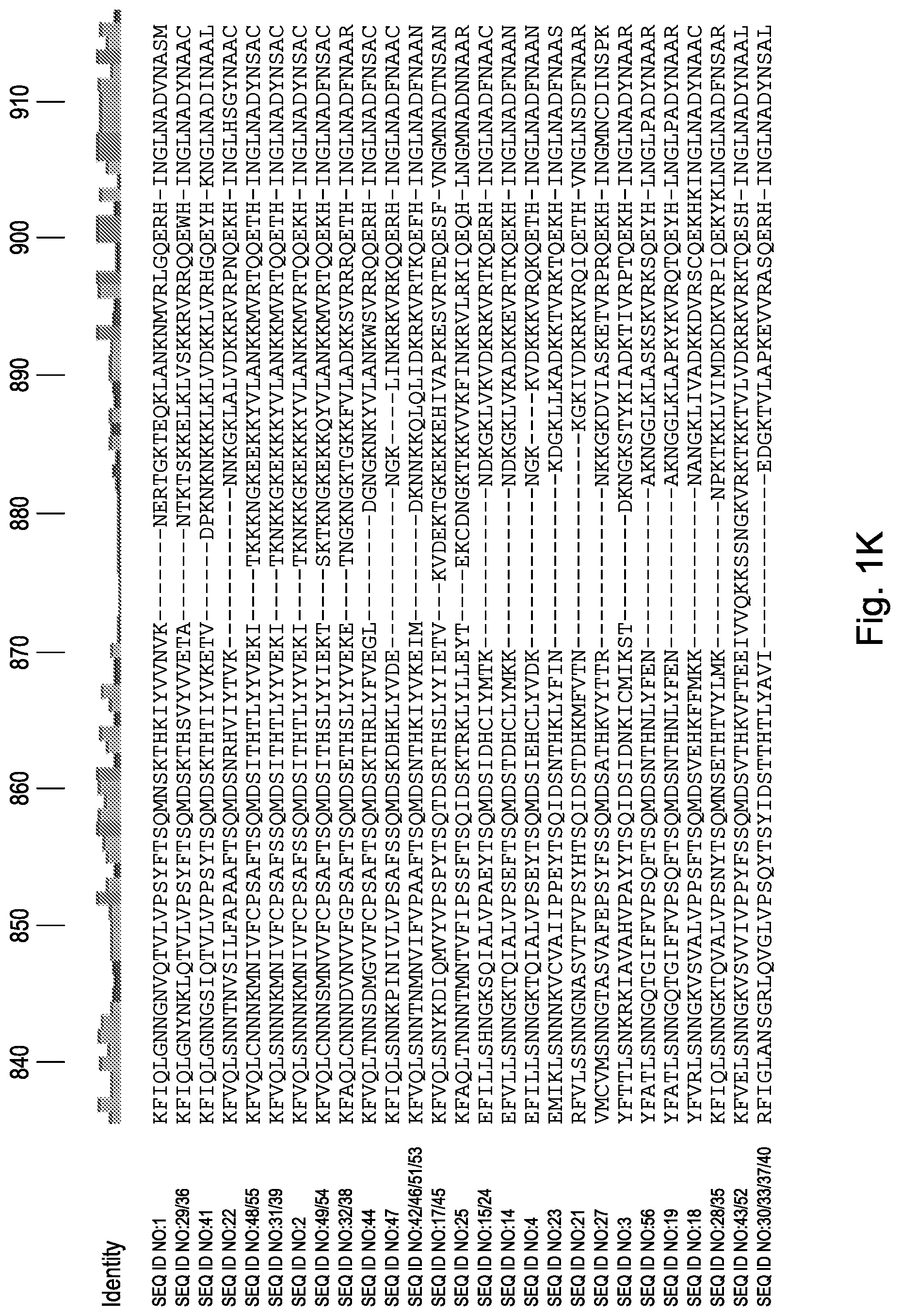 Patent US12460190 Figure 11 – CRISPR DNA targeting enzymes and systems