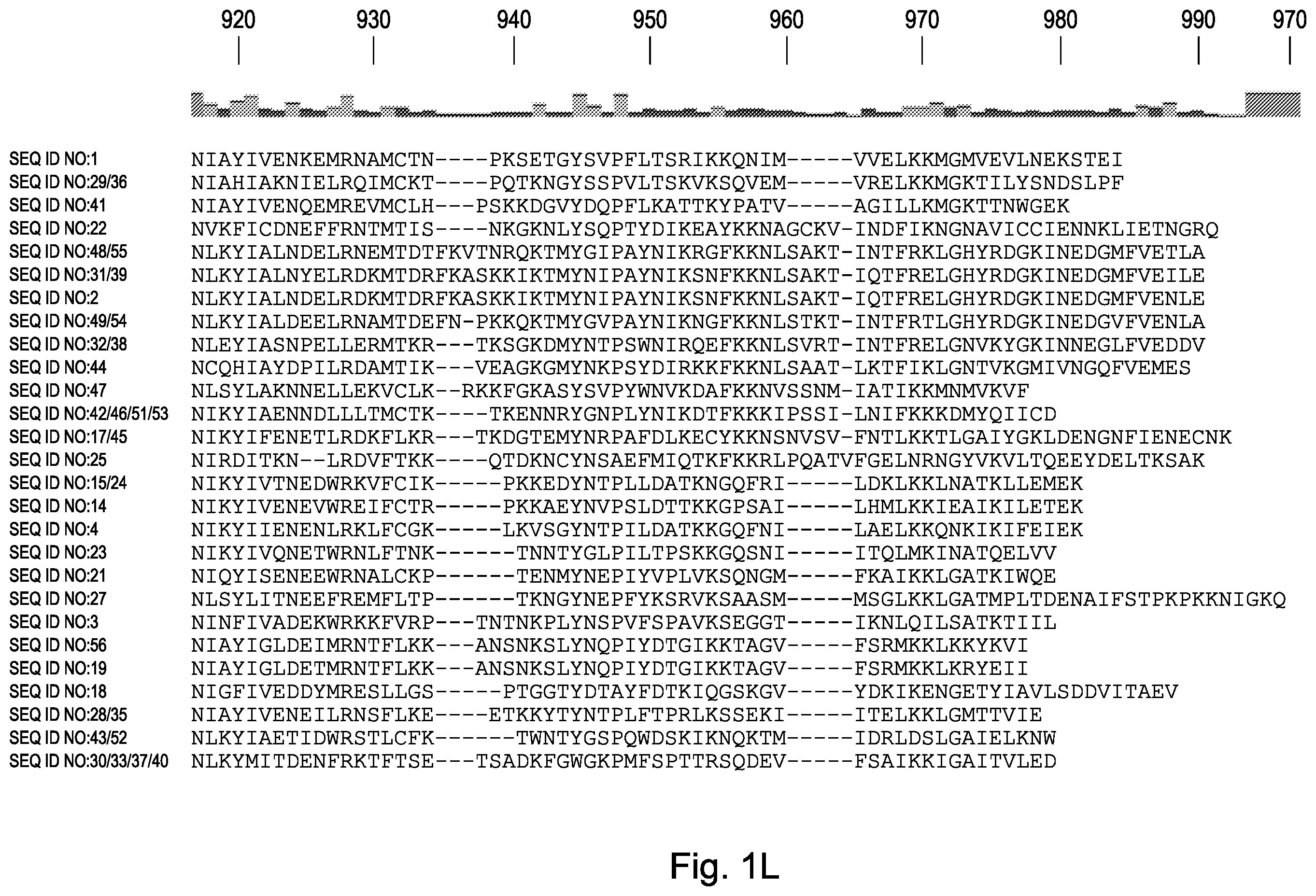 Patent US12460190 Figure 12 – CRISPR DNA targeting enzymes and systems