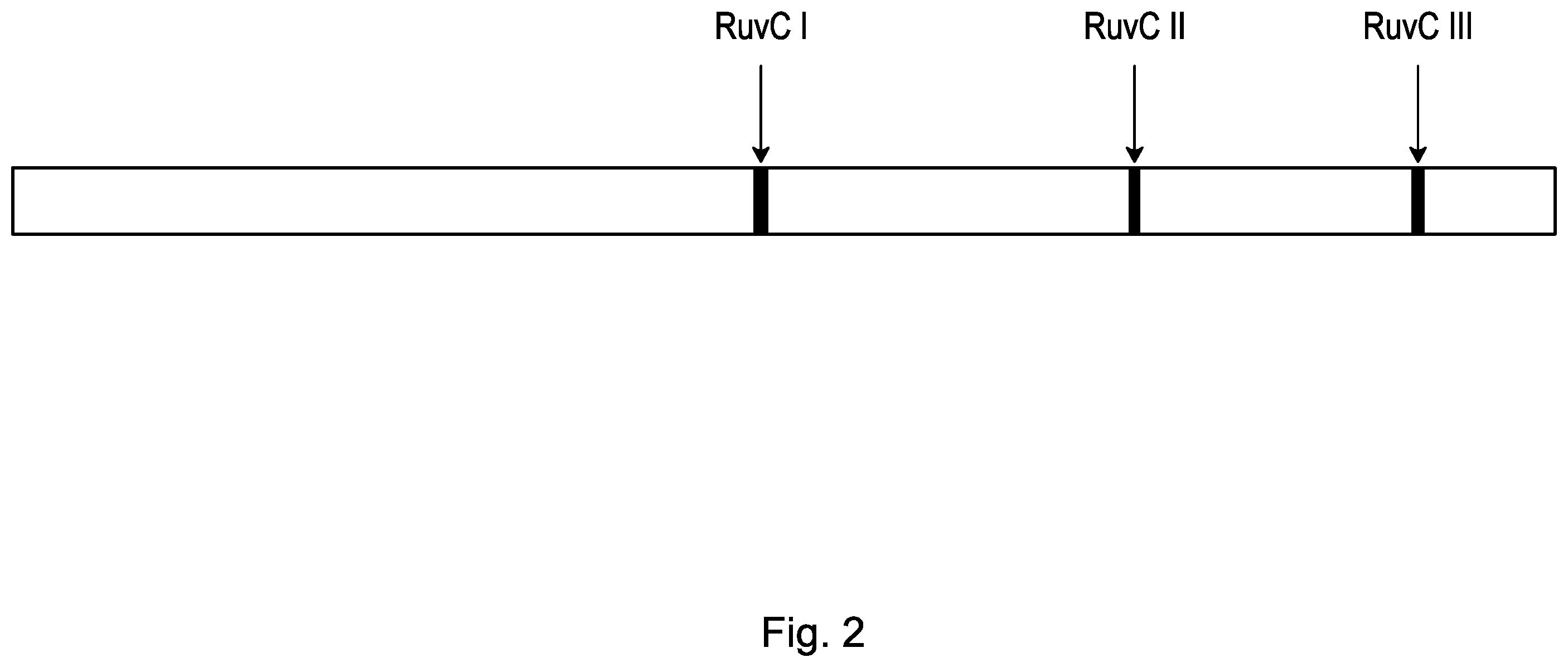 Patent US12460190 Figure 13 – CRISPR DNA targeting enzymes and systems