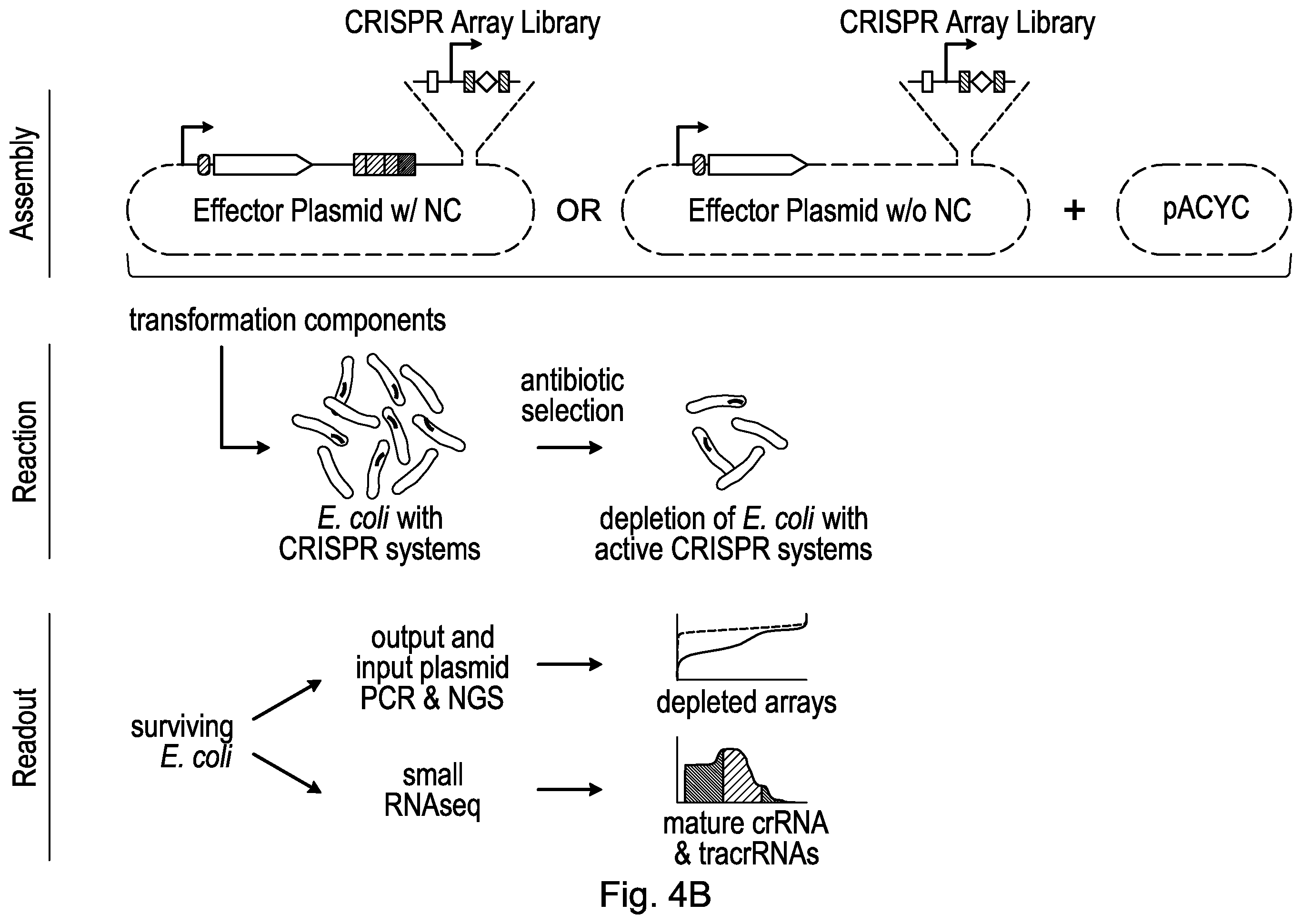 Patent US12460190 Figure 16 – CRISPR DNA targeting enzymes and systems