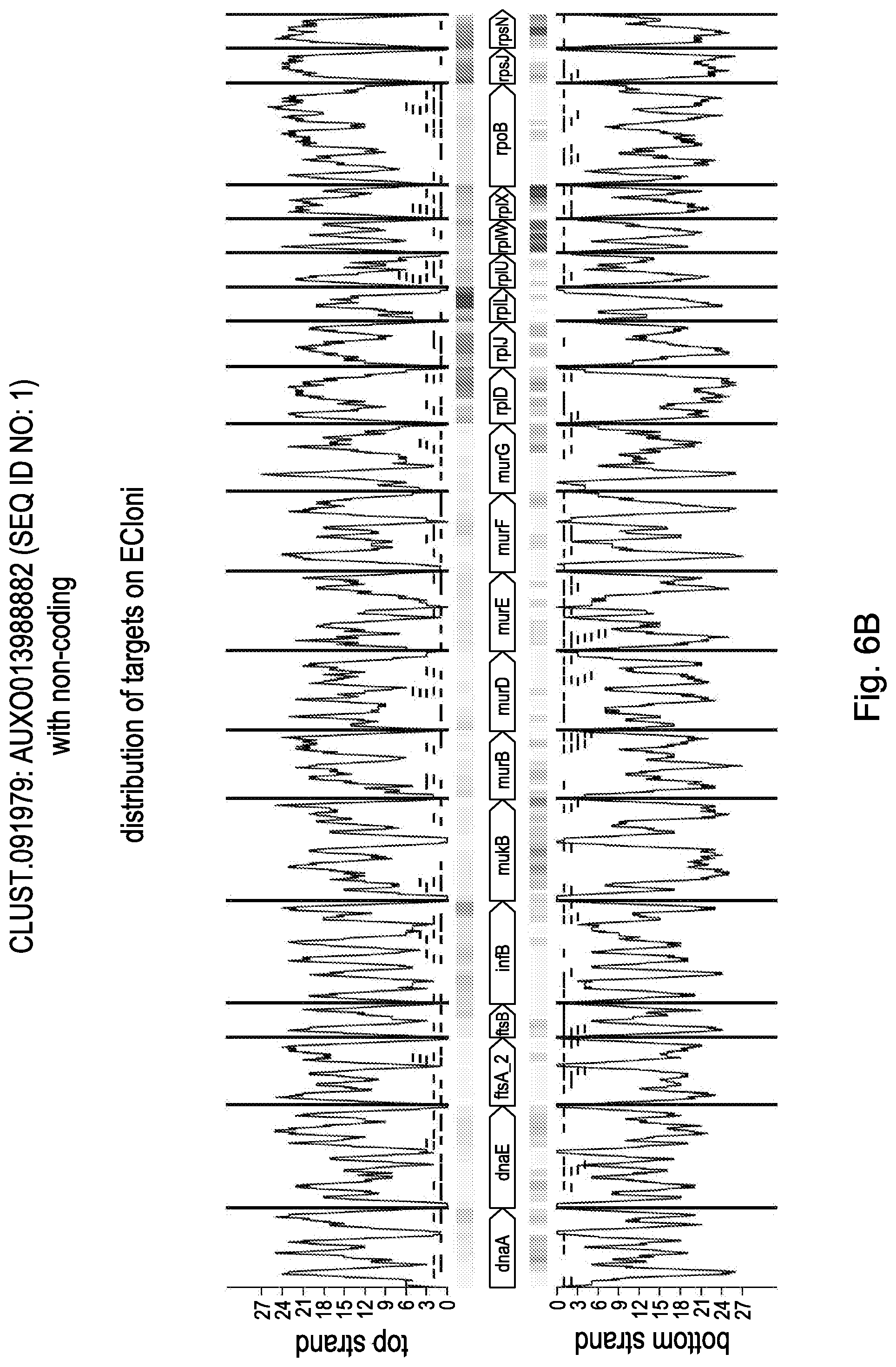 Patent US12460190 Figure 19 – CRISPR DNA targeting enzymes and systems