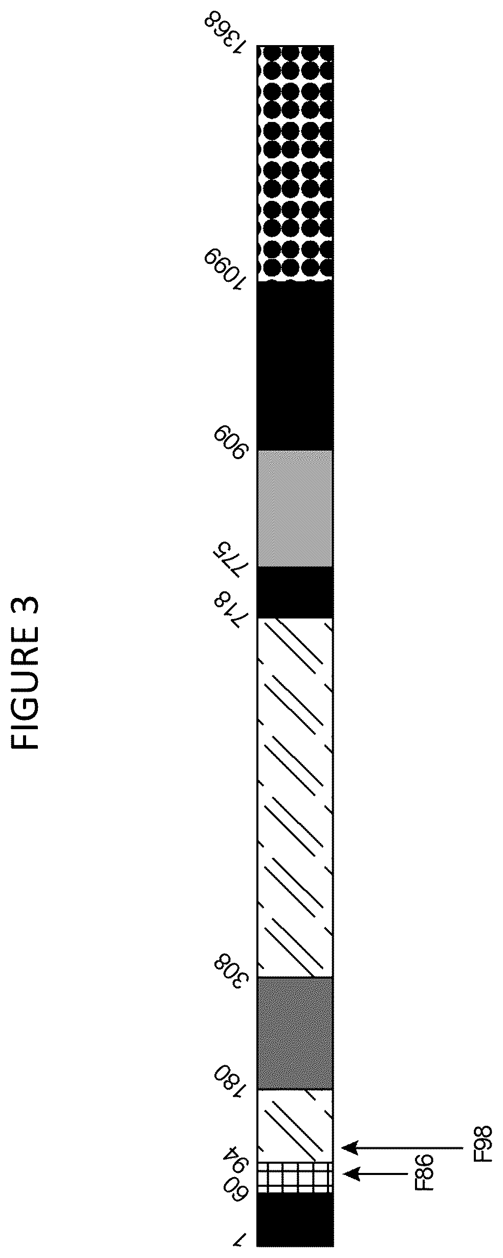 Patent US12460191 Figure 3 – Cas9 variants and methods of use