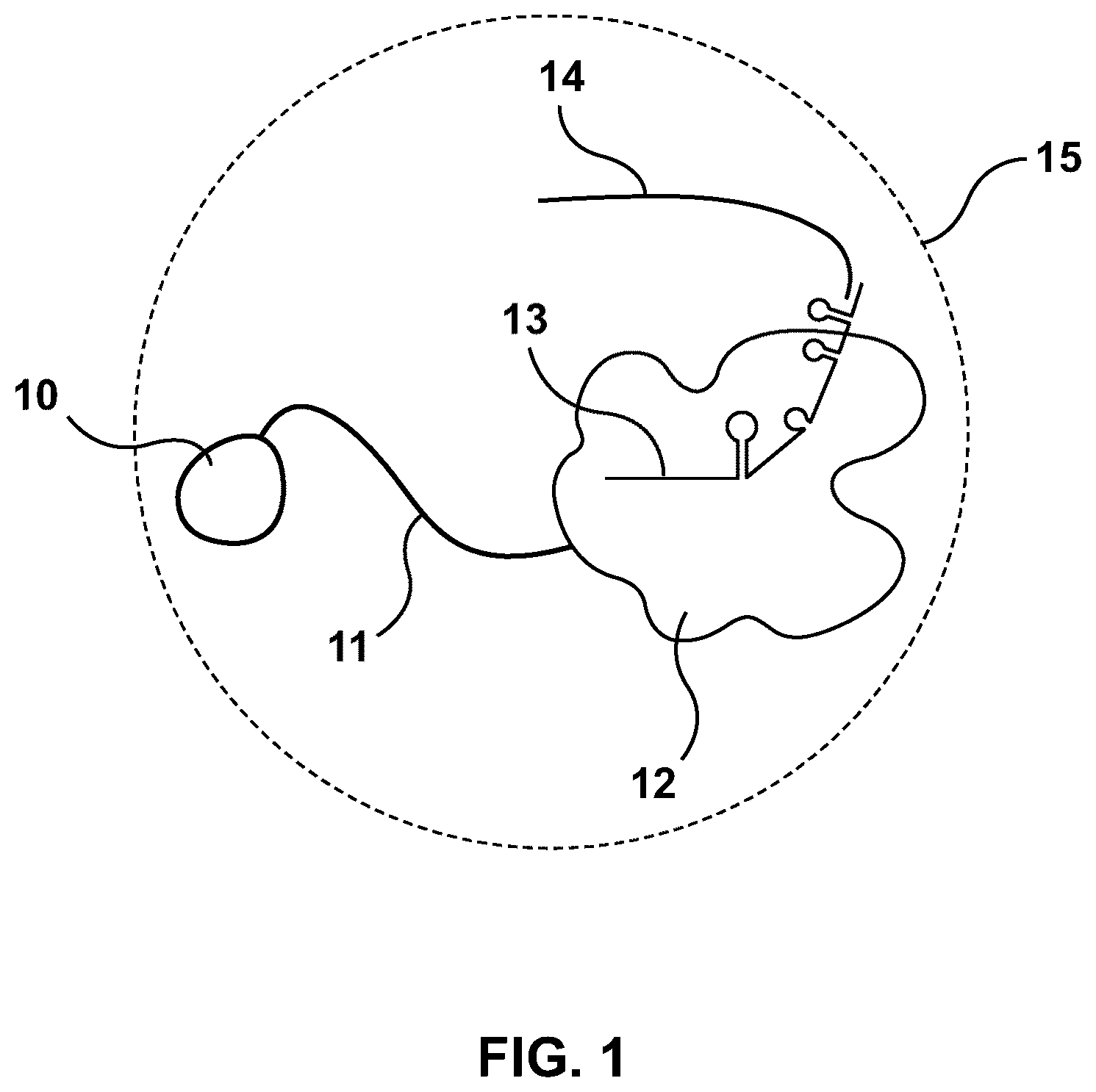 Patent US12460192 Figure 1 – Lipid-encapsulated dual-cleaving endonuclease for DNA and gene editing