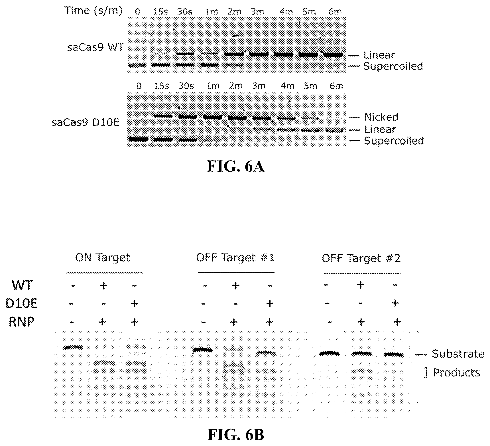 Patent US12460192 Figure 6 – Lipid-encapsulated dual-cleaving endonuclease for DNA and gene editing