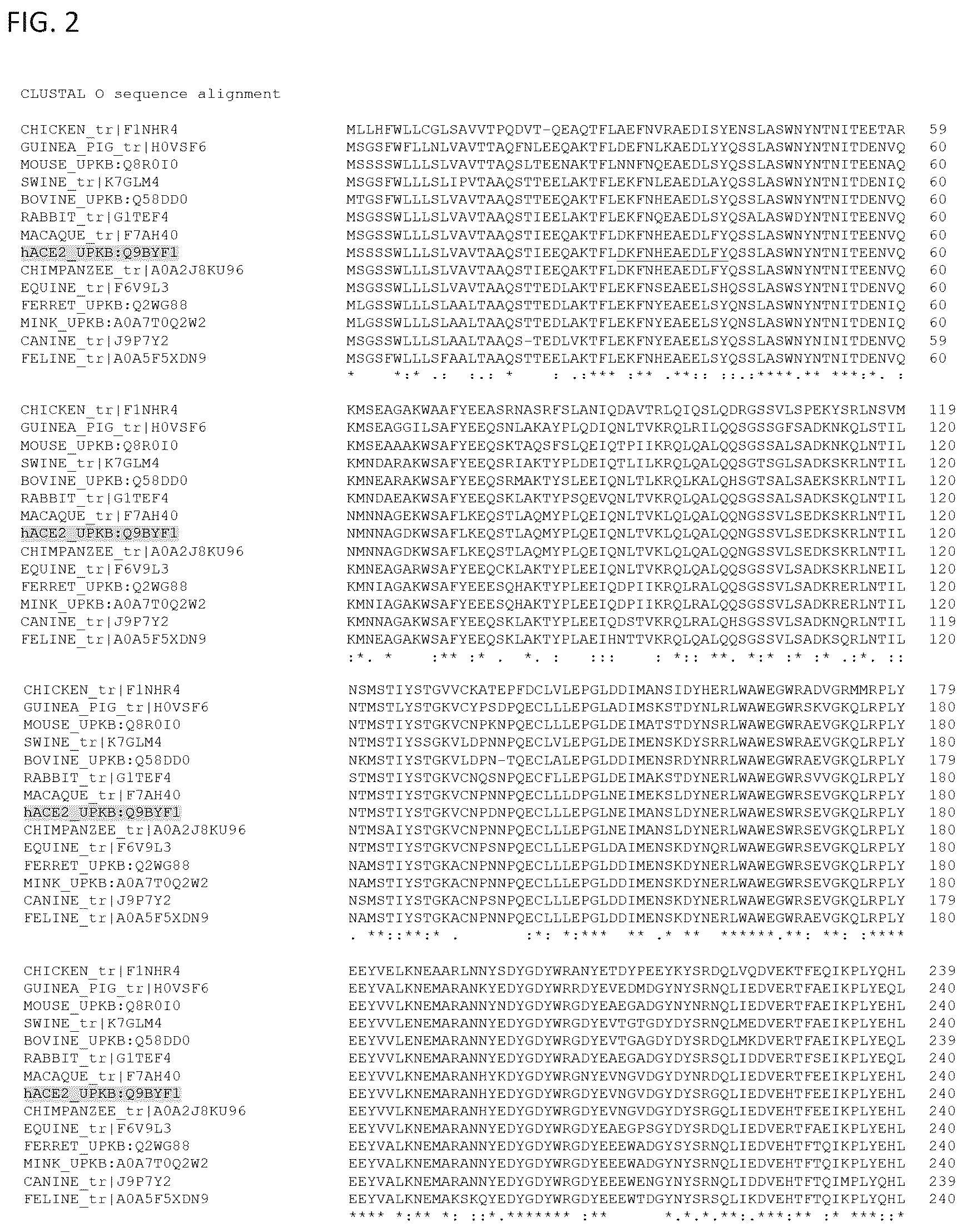 Patent US12460193 Figure 2 – Compositions for preventing or treating coronavirus infections