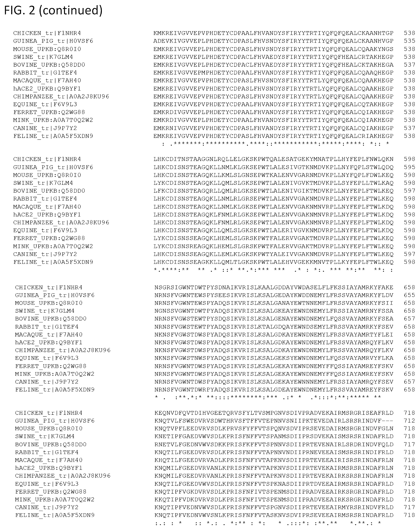 Patent US12460193 Figure 4 – Compositions for preventing or treating coronavirus infections