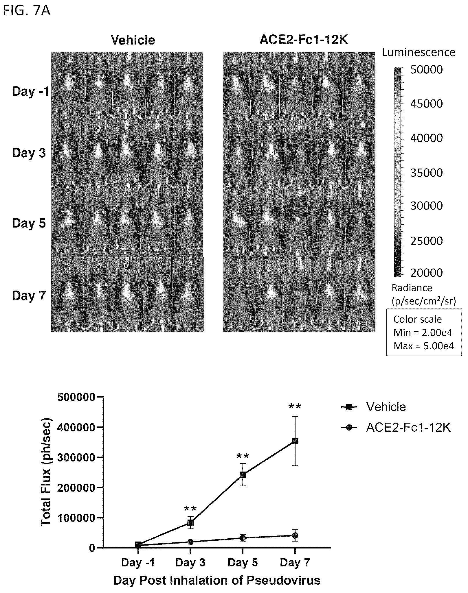 Patent US12460193 Figure 11 – Compositions for preventing or treating coronavirus infections