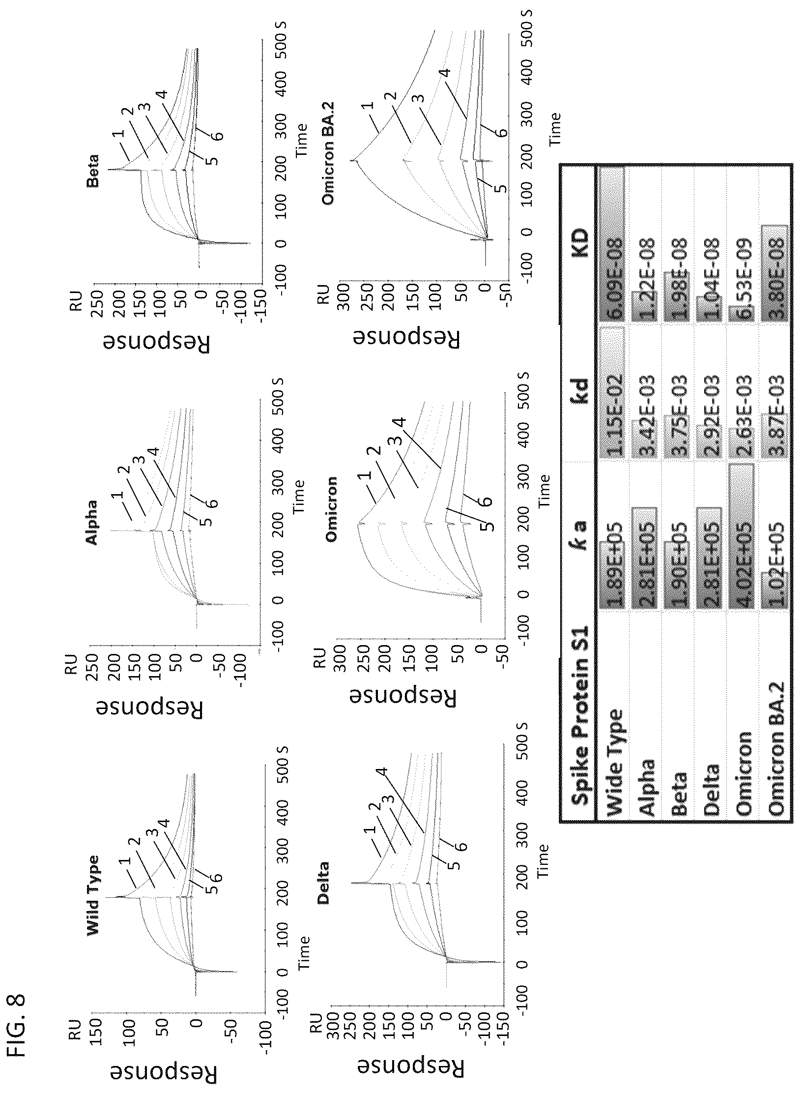 Patent US12460193 Figure 14 – Compositions for preventing or treating coronavirus infections