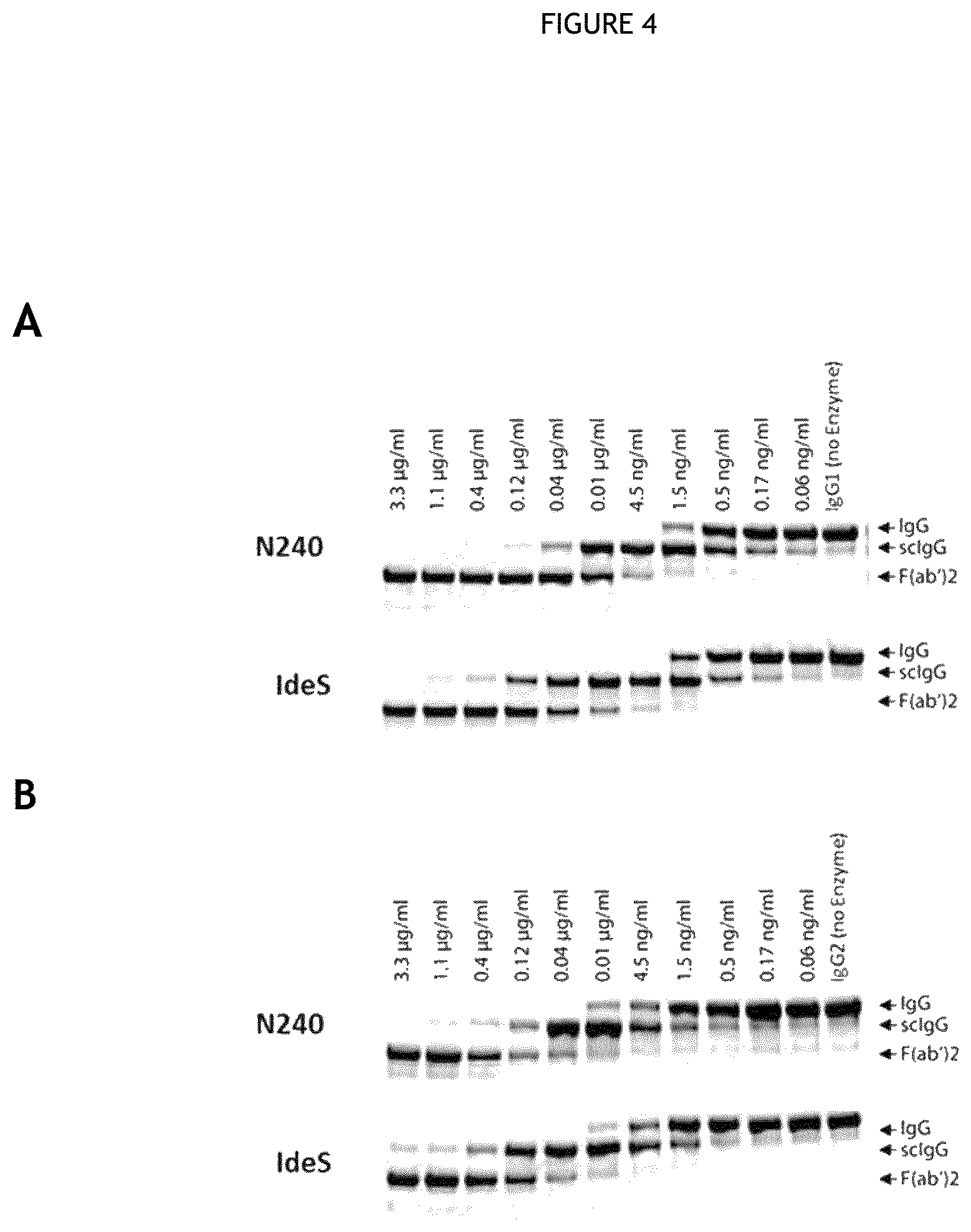Patent US12460194 Figure 4 – Cysteine protease