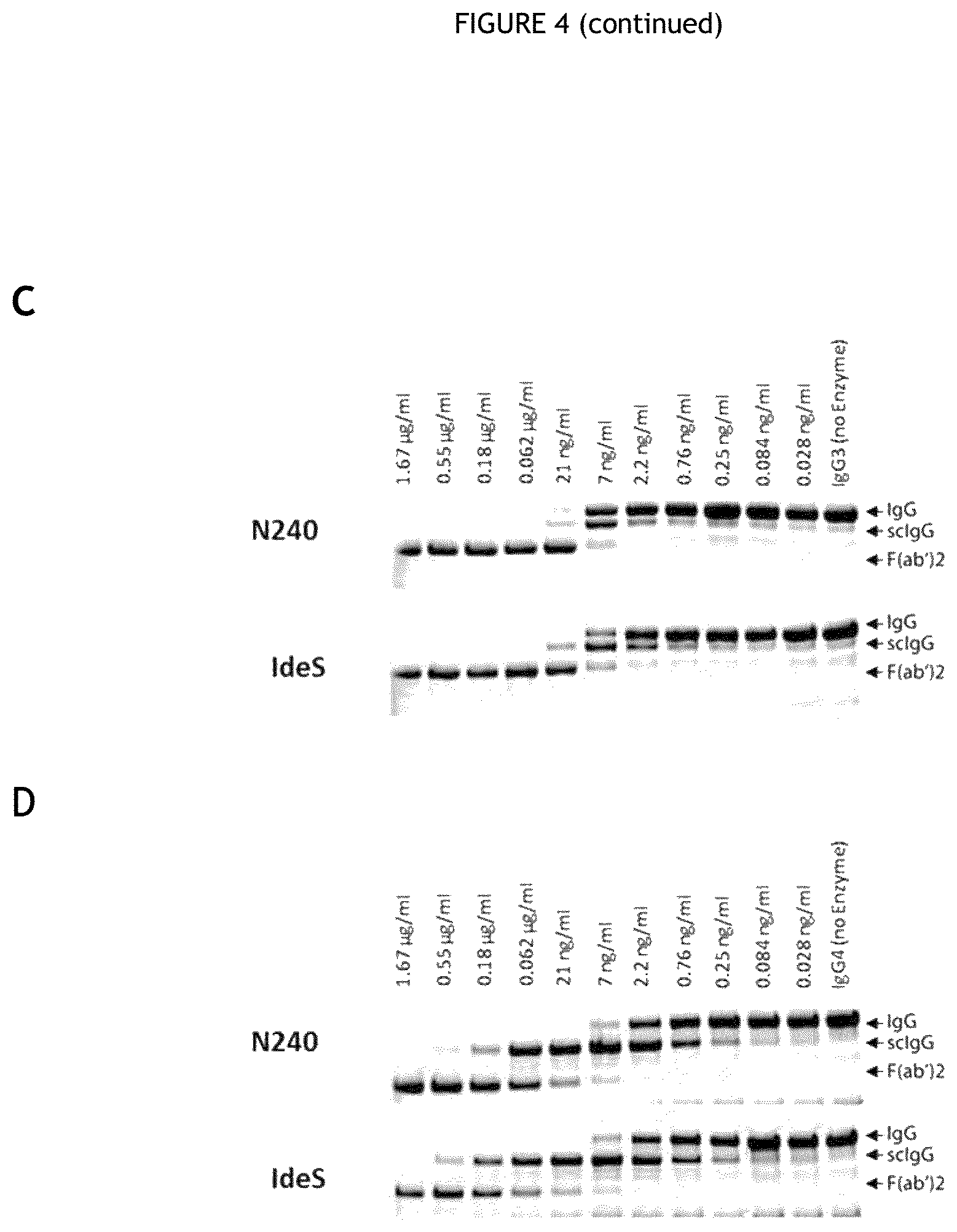 Patent US12460194 Figure 5 – Cysteine protease