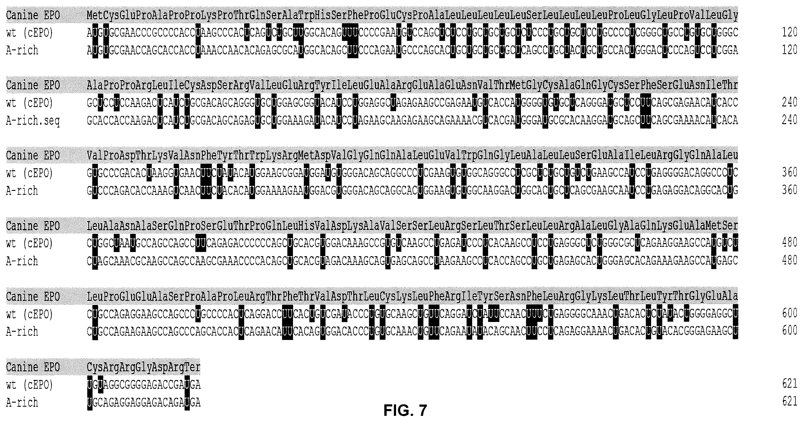 Patent US12460198 Figure 7 – Method for reducing immunogenicity of RNA