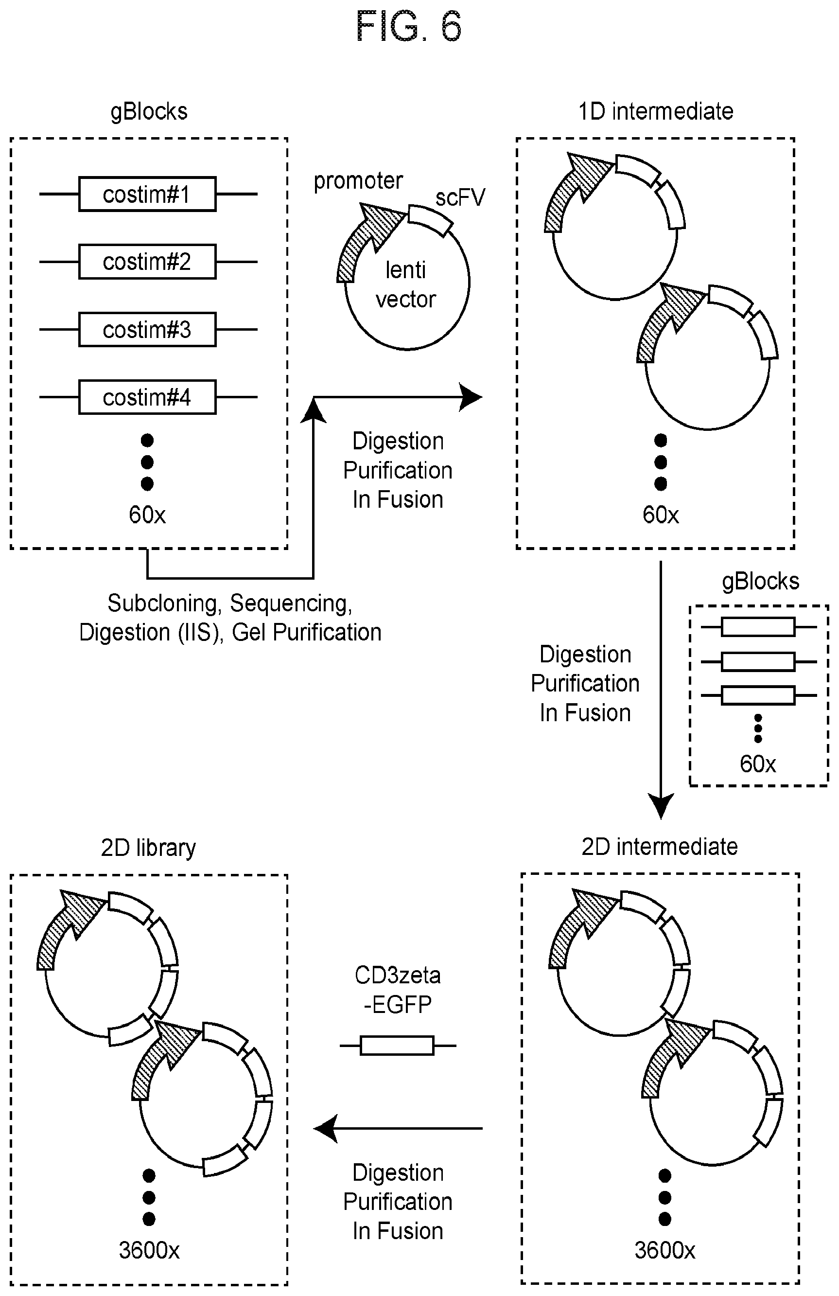 Patent US12460199 Figure 7 – Modular polypeptide libraries and methods of making and using same
