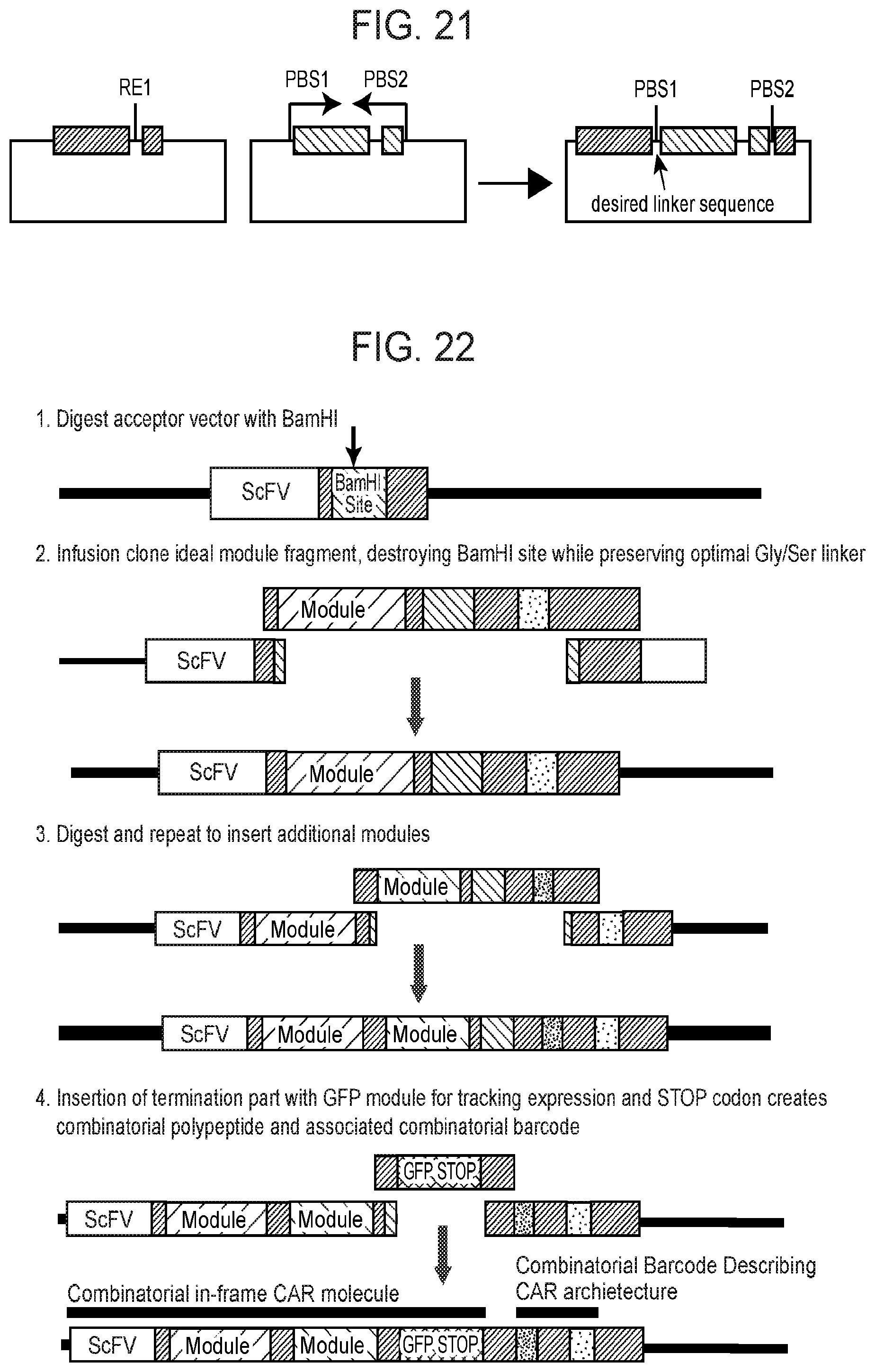 Patent US12460199 Figure 14 – Modular polypeptide libraries and methods of making and using same