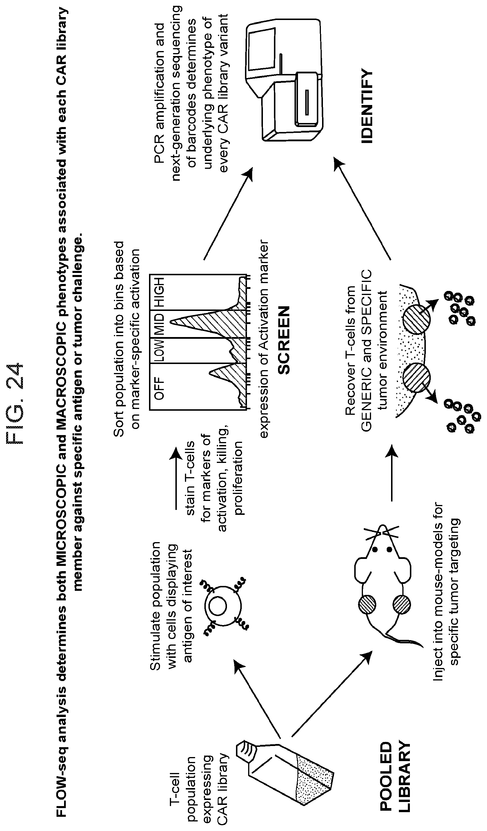 Patent US12460199 Figure 16 – Modular polypeptide libraries and methods of making and using same