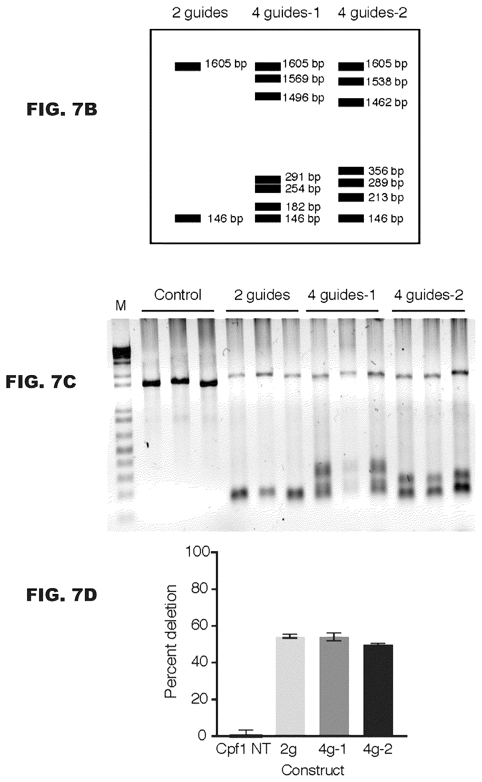 Patent US12460200 Figure 10 – Methods and compositions comprising CRISPR-Cpf1 and paired guide CRISPR RNAs for programmable genomic deletions